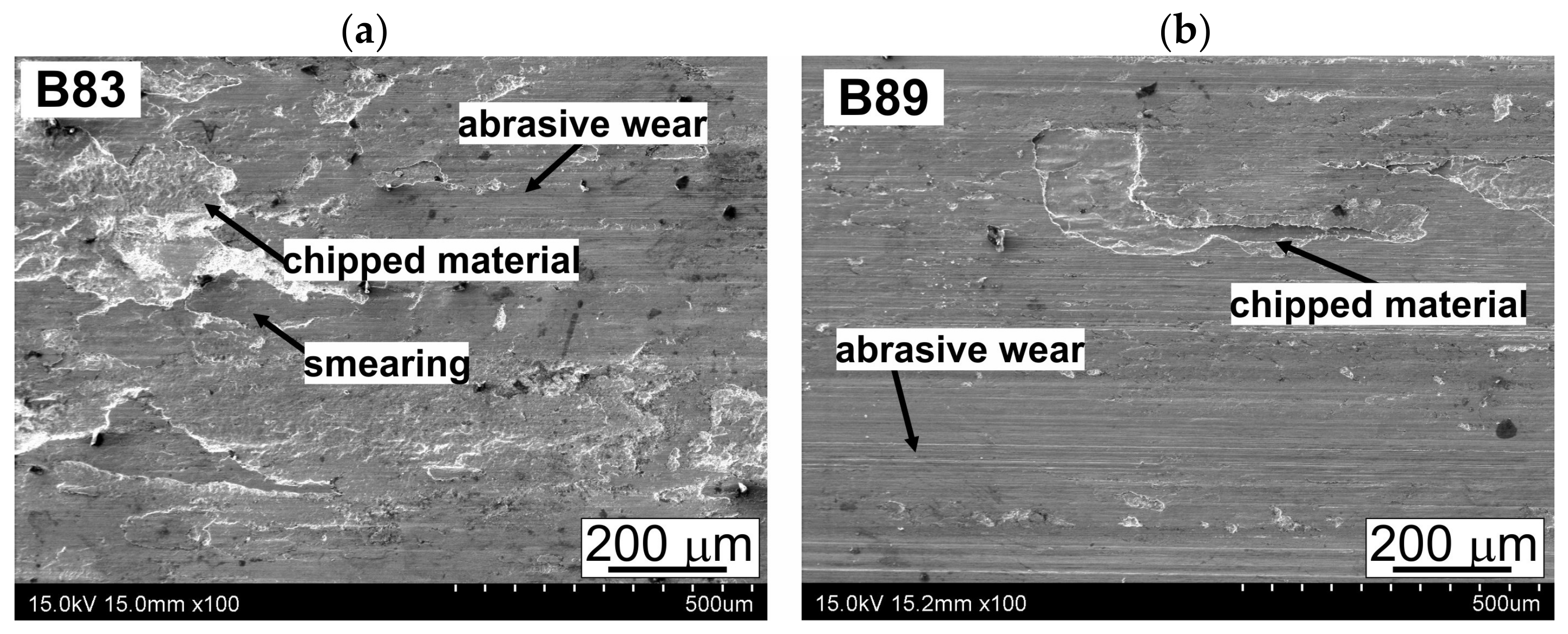 Lubricants 11 00426 g008