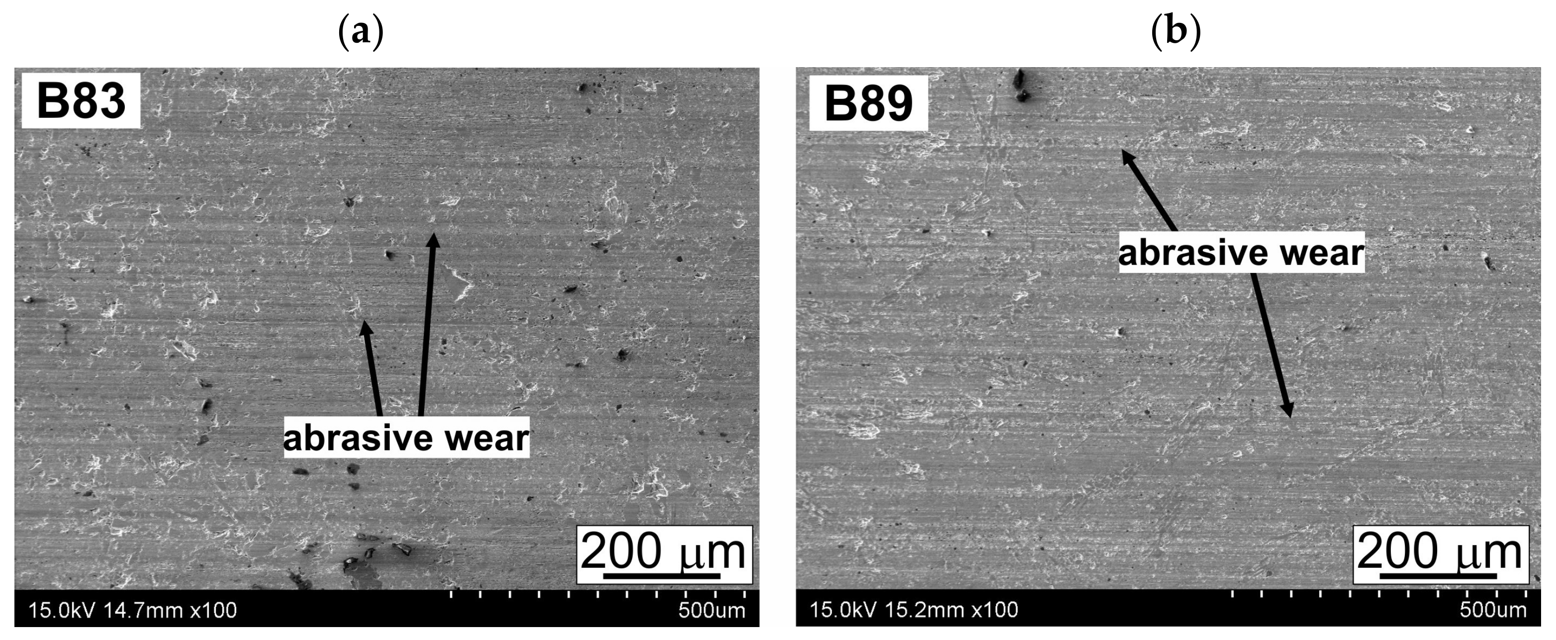 Lubricants 11 00426 g011