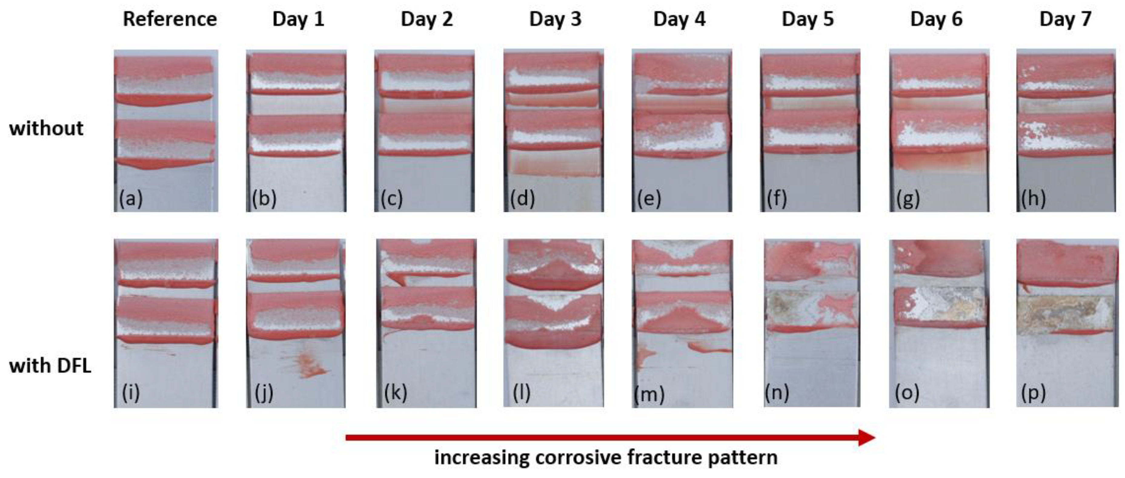 Lubricants 11 00437 g004