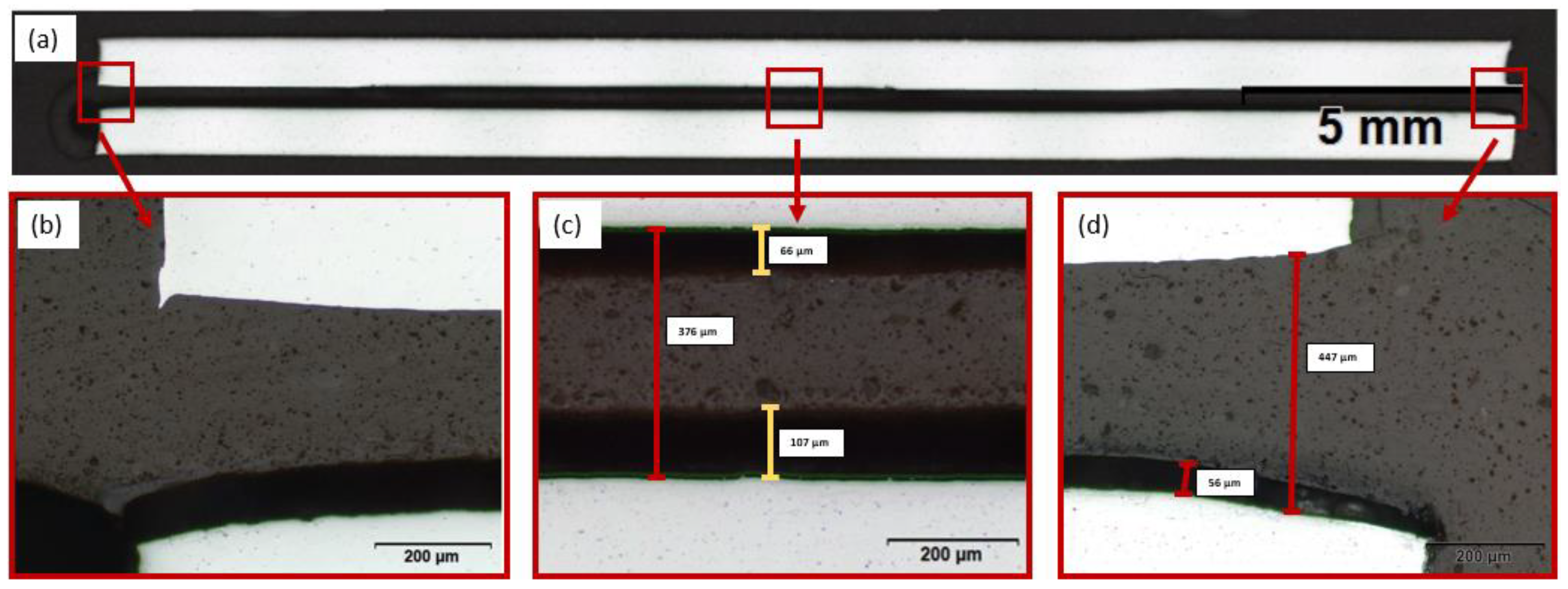 Lubricants 11 00437 g005