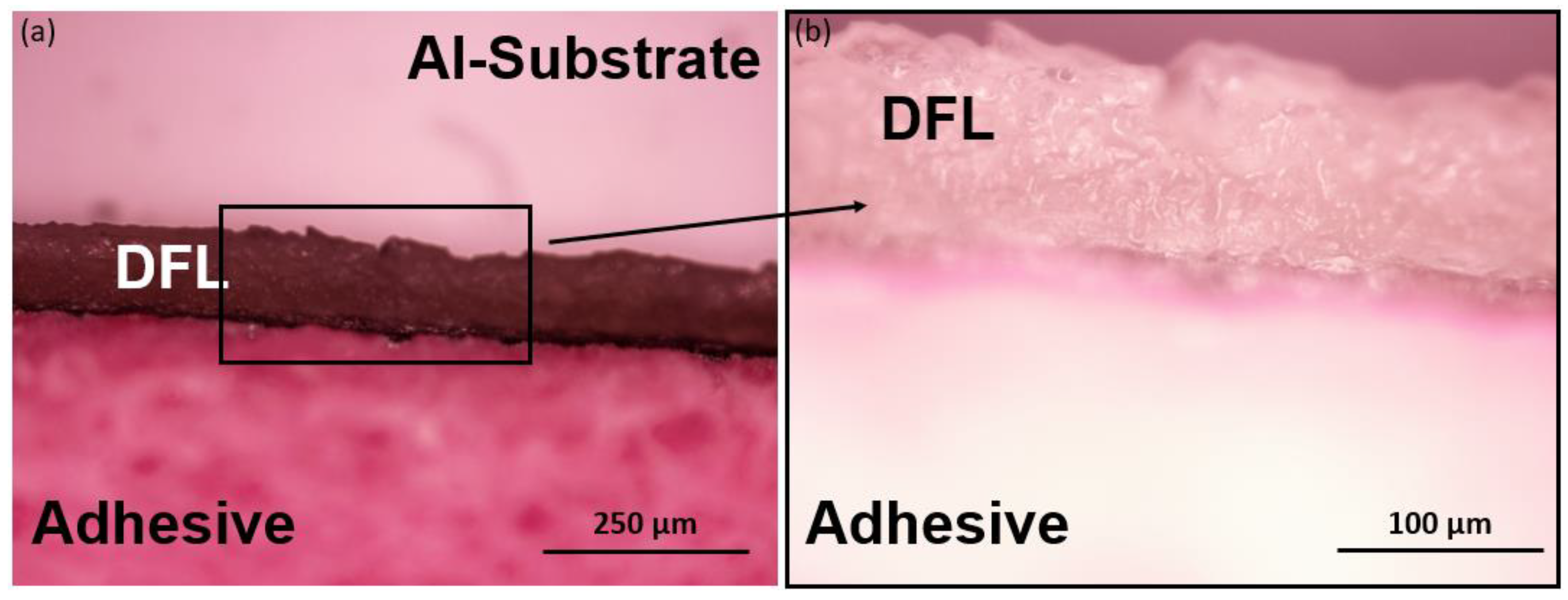 Lubricants 11 00437 g007