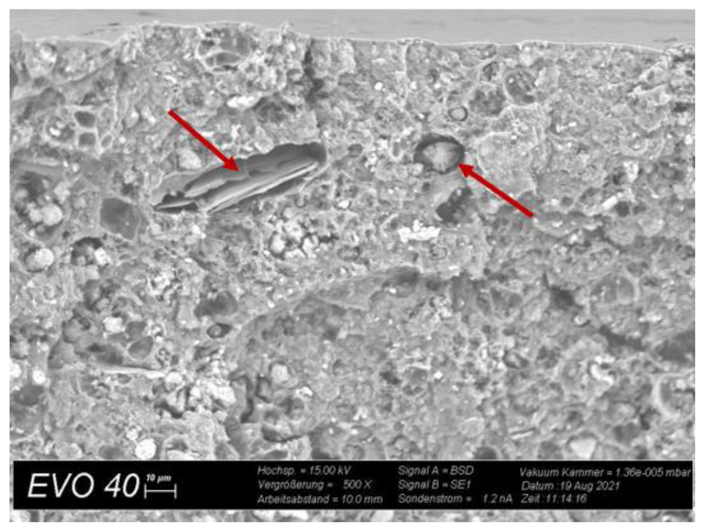 Lubricants 11 00437 g008