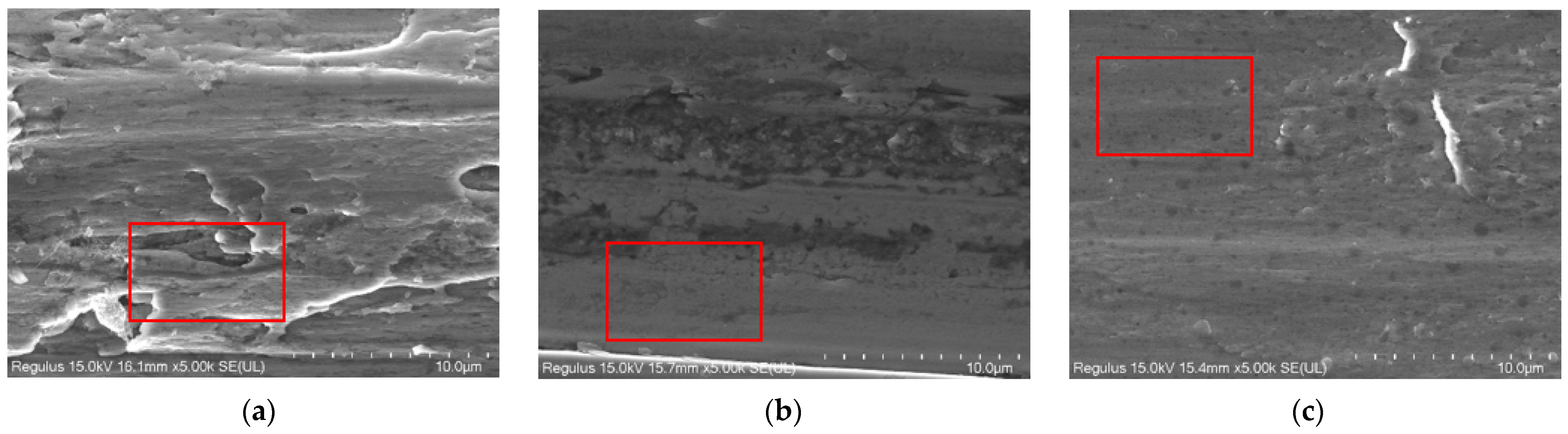 Lubricants 11 00511 g012