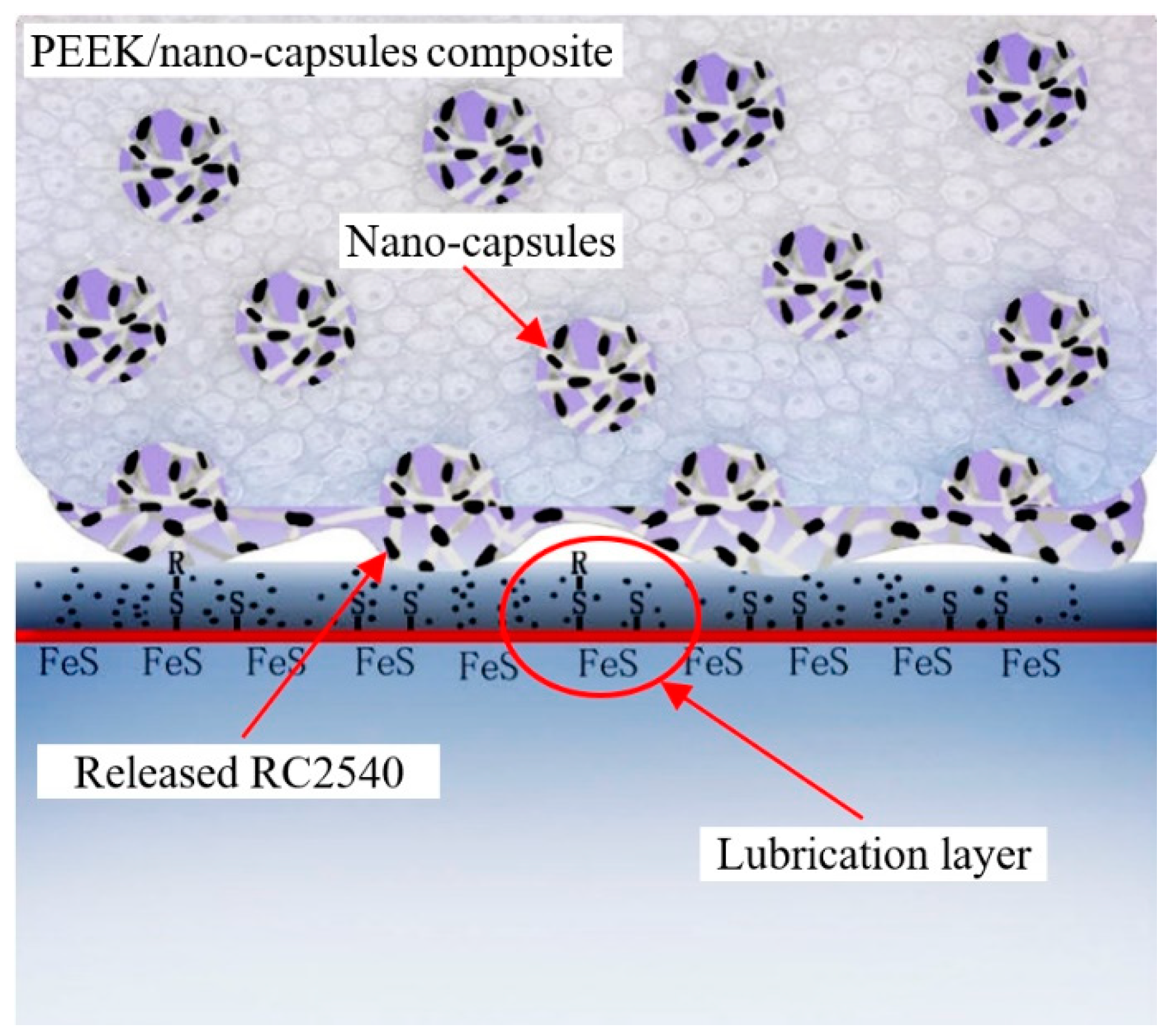 Lubricants 11 00511 g013