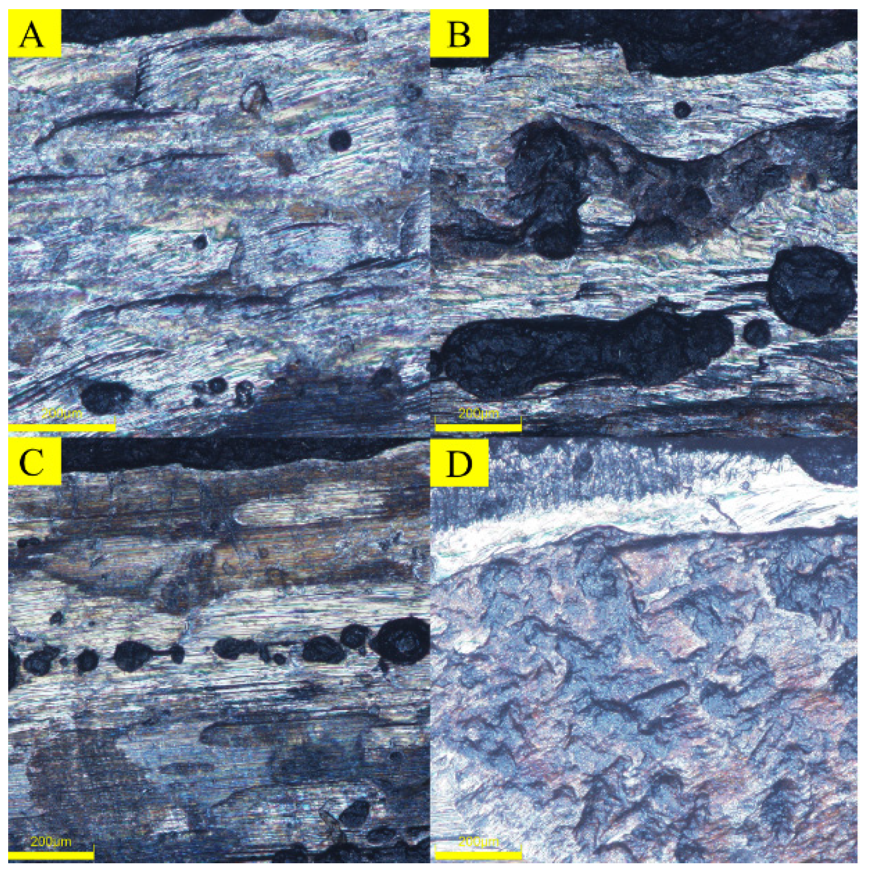 Lubricants 11 00515 g023