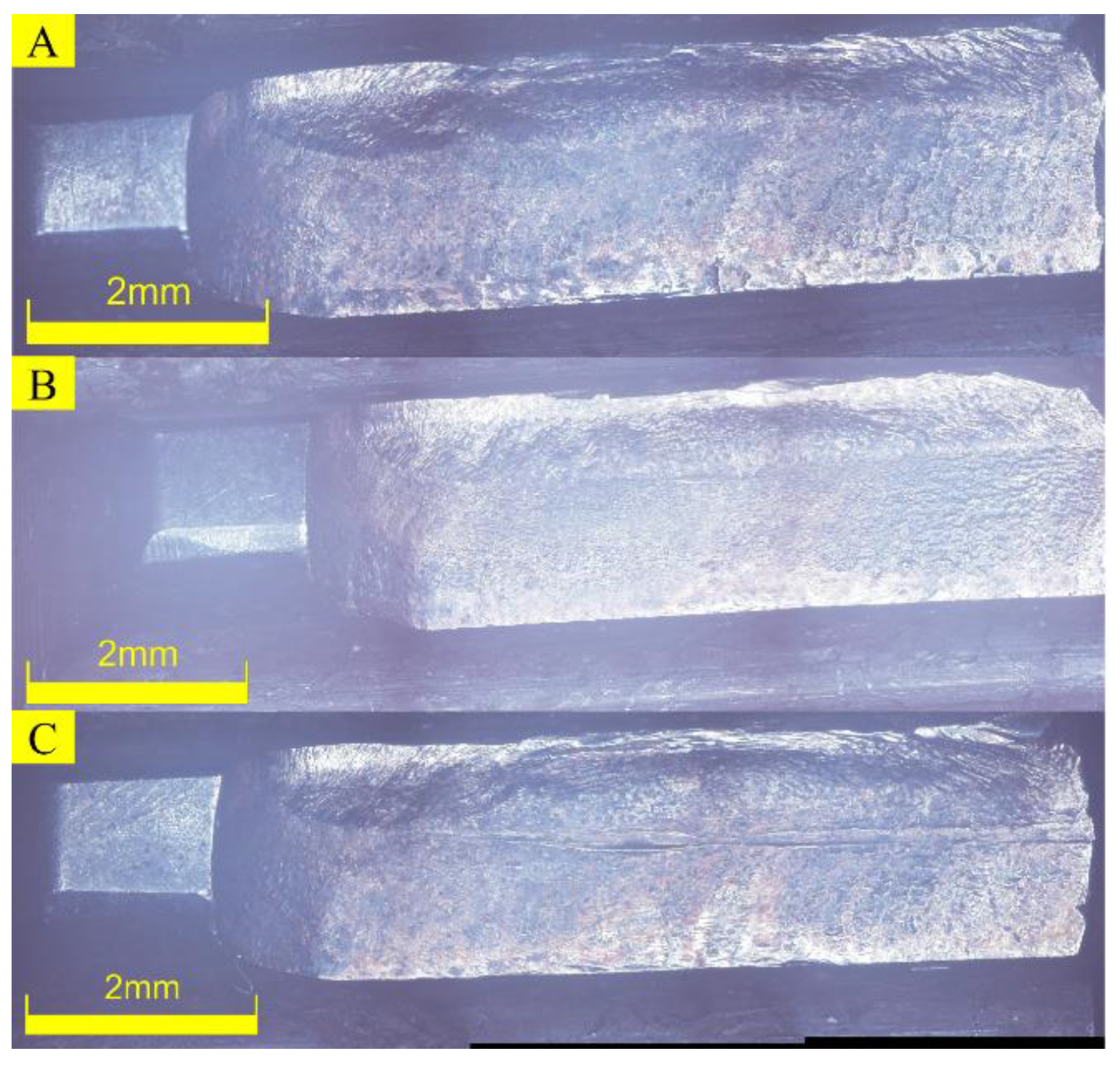 Lubricants 11 00515 g024