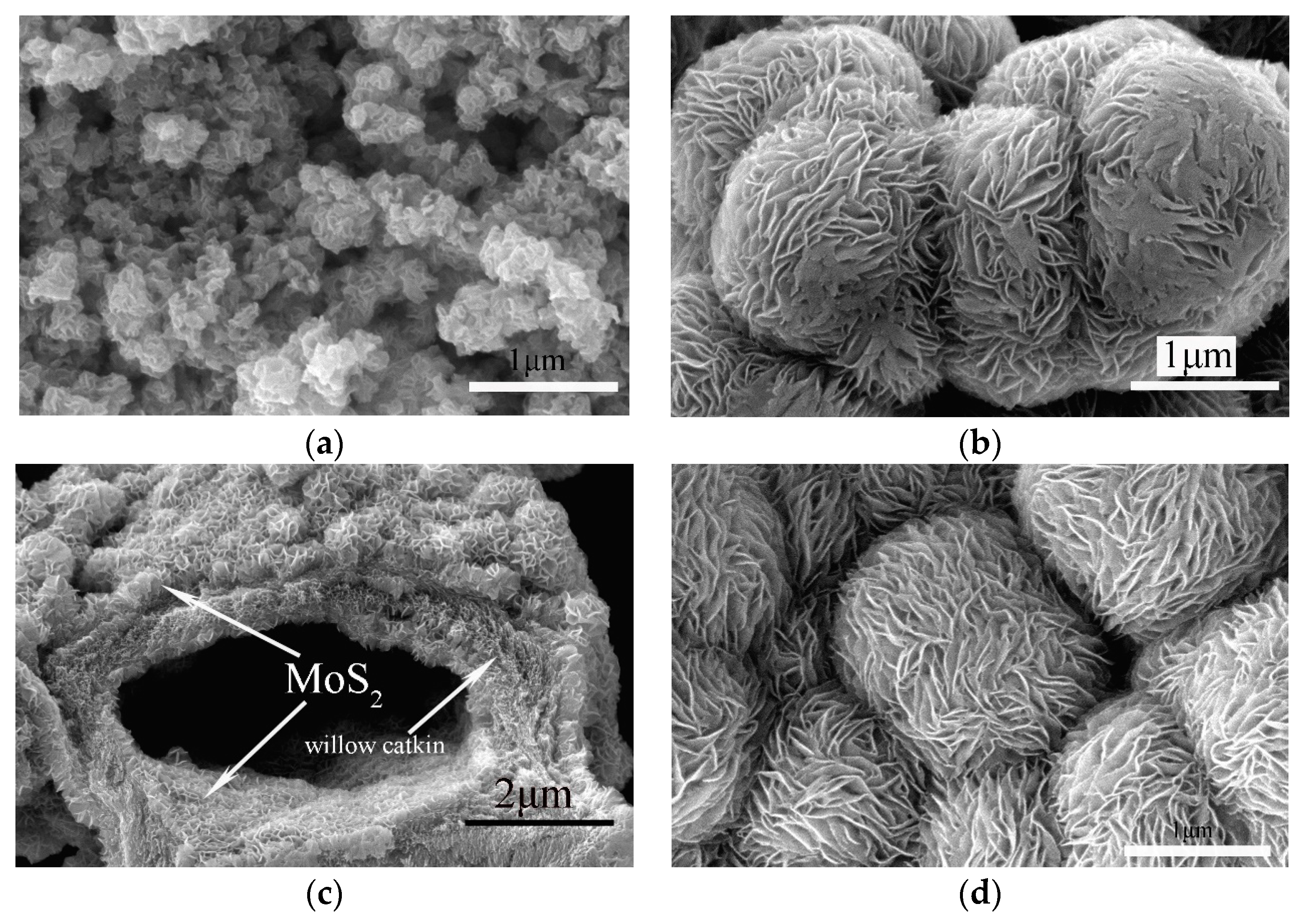 Lubricants 11 00524 g001a