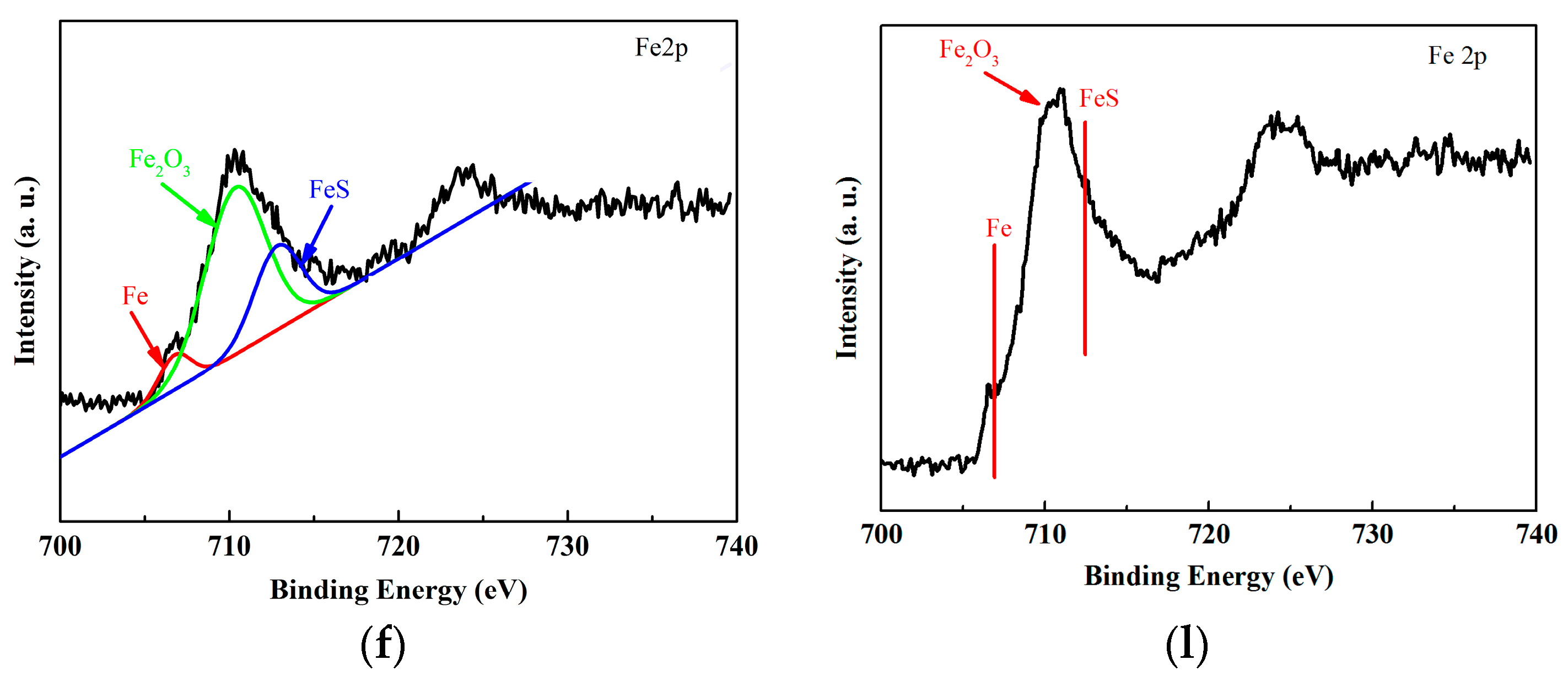 Lubricants 11 00524 g008b