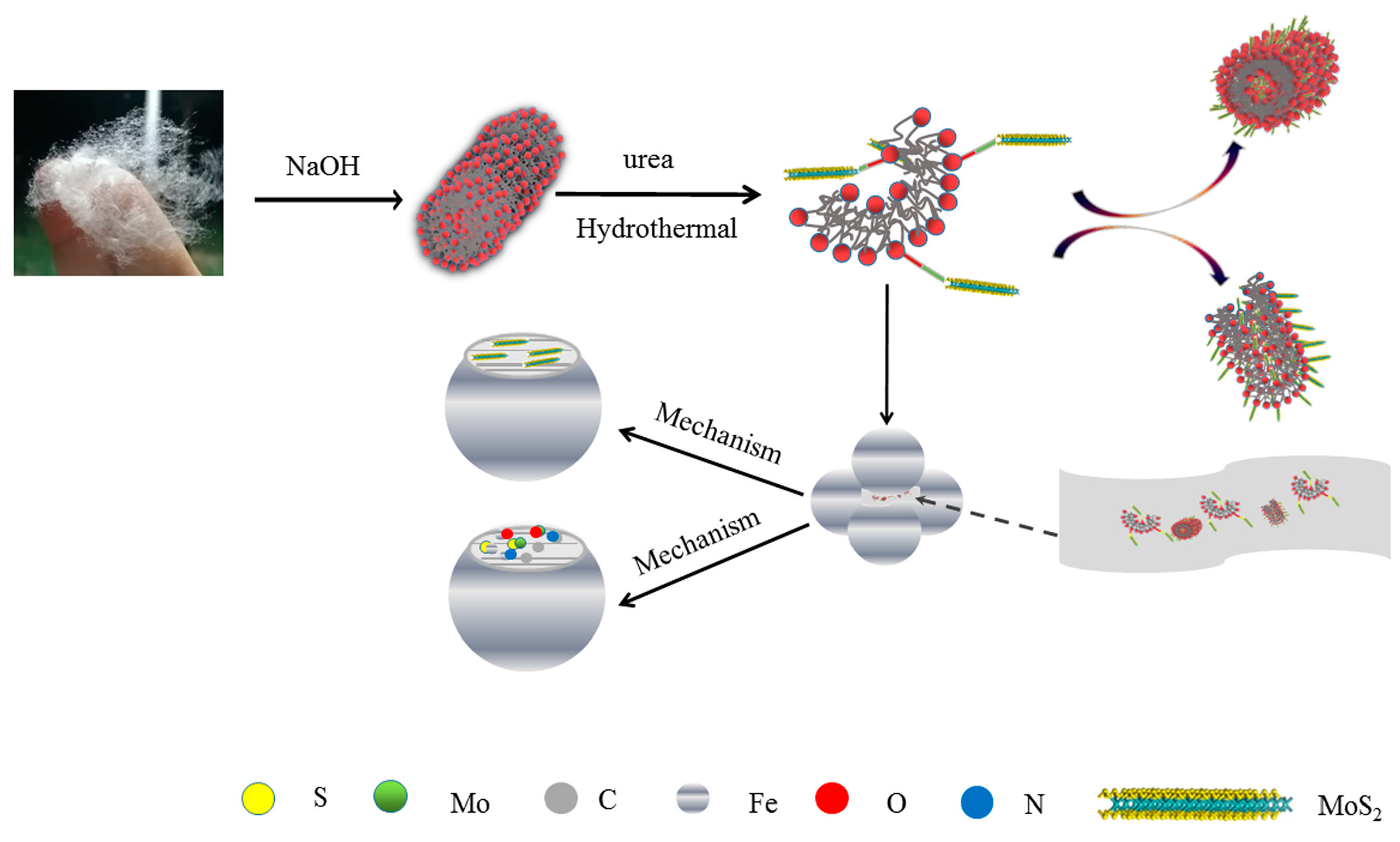 Lubricants 11 00524 g010
