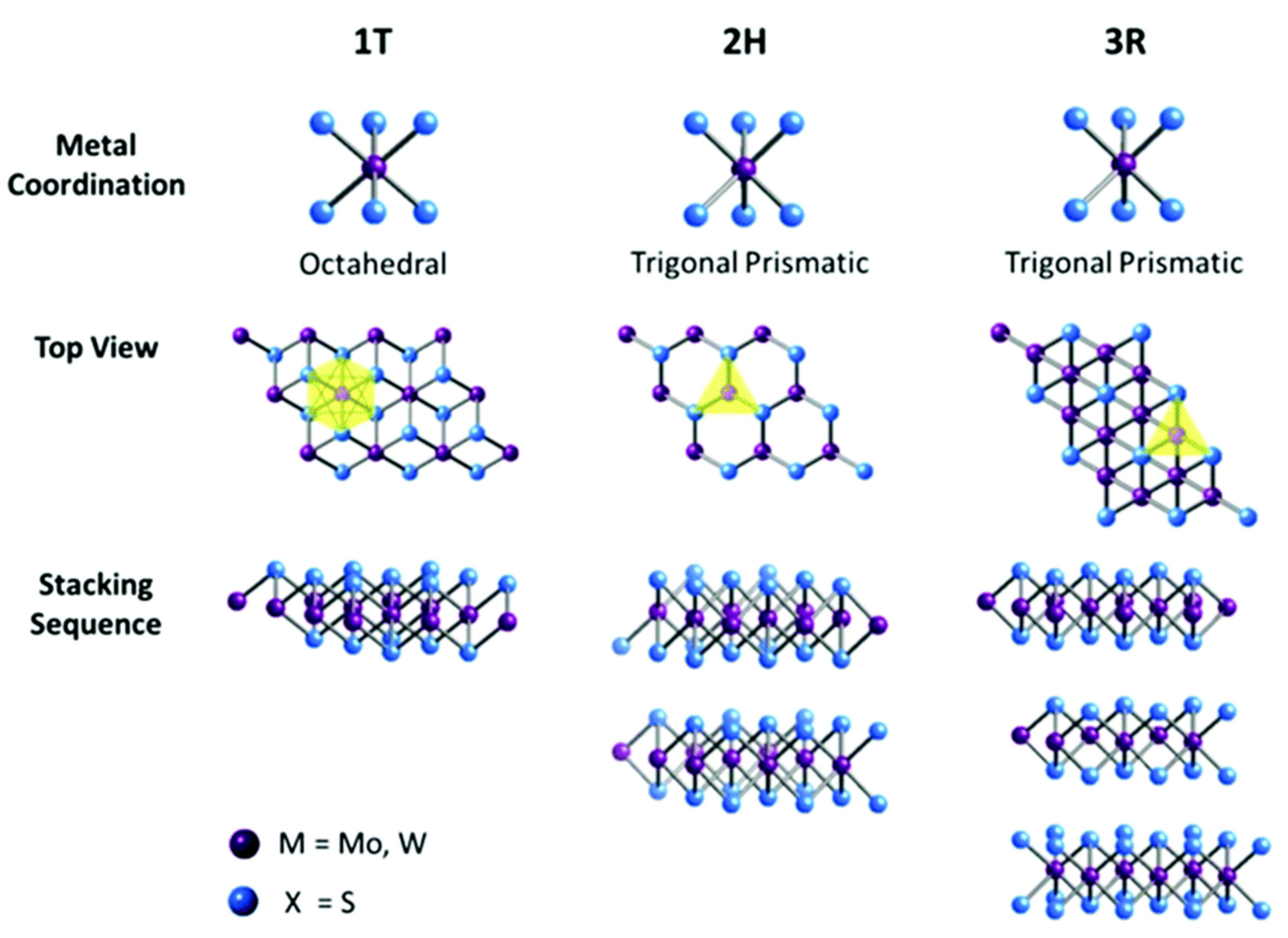 Lubricants 11 00527 g001