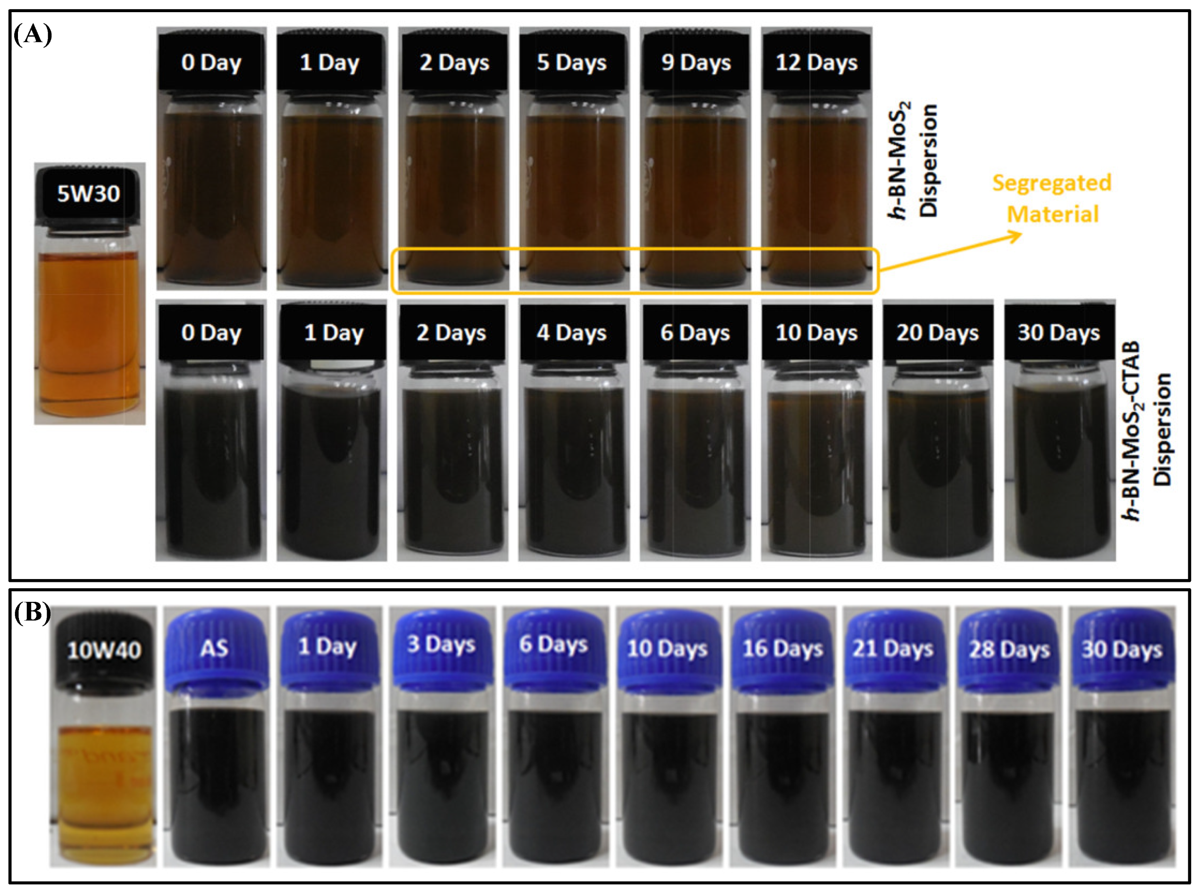 Lubricants 11 00527 g005