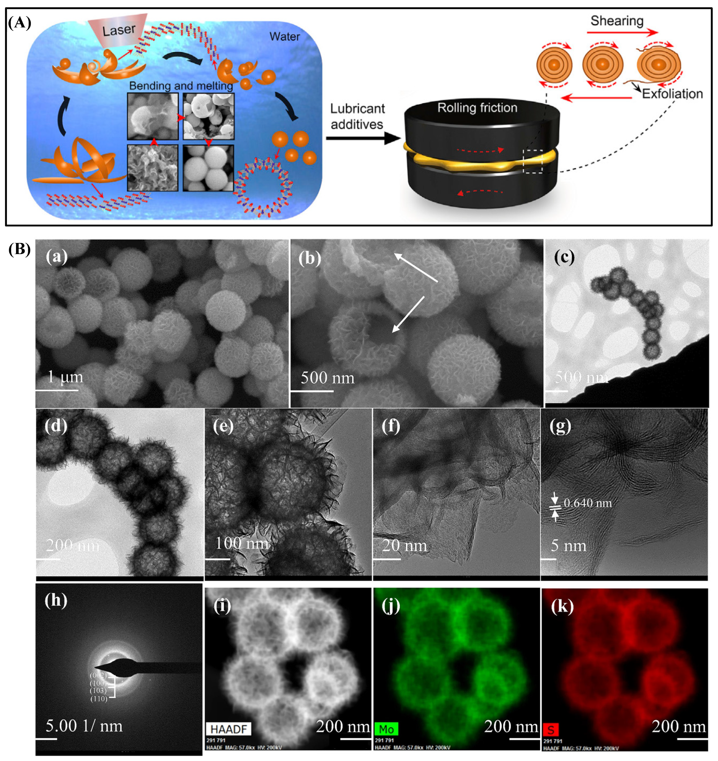 Lubricants 11 00527 g006
