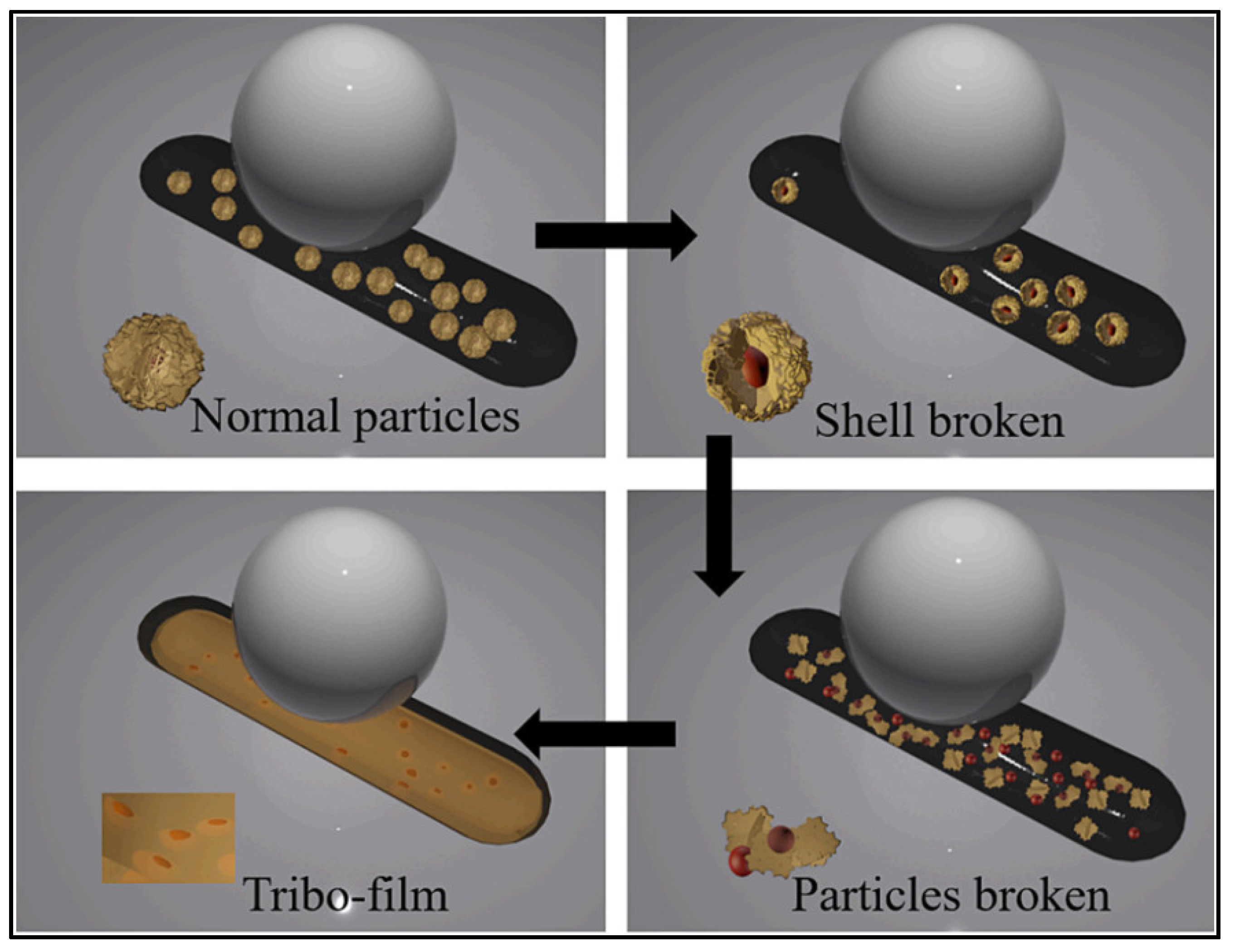 Lubricants 11 00527 g011