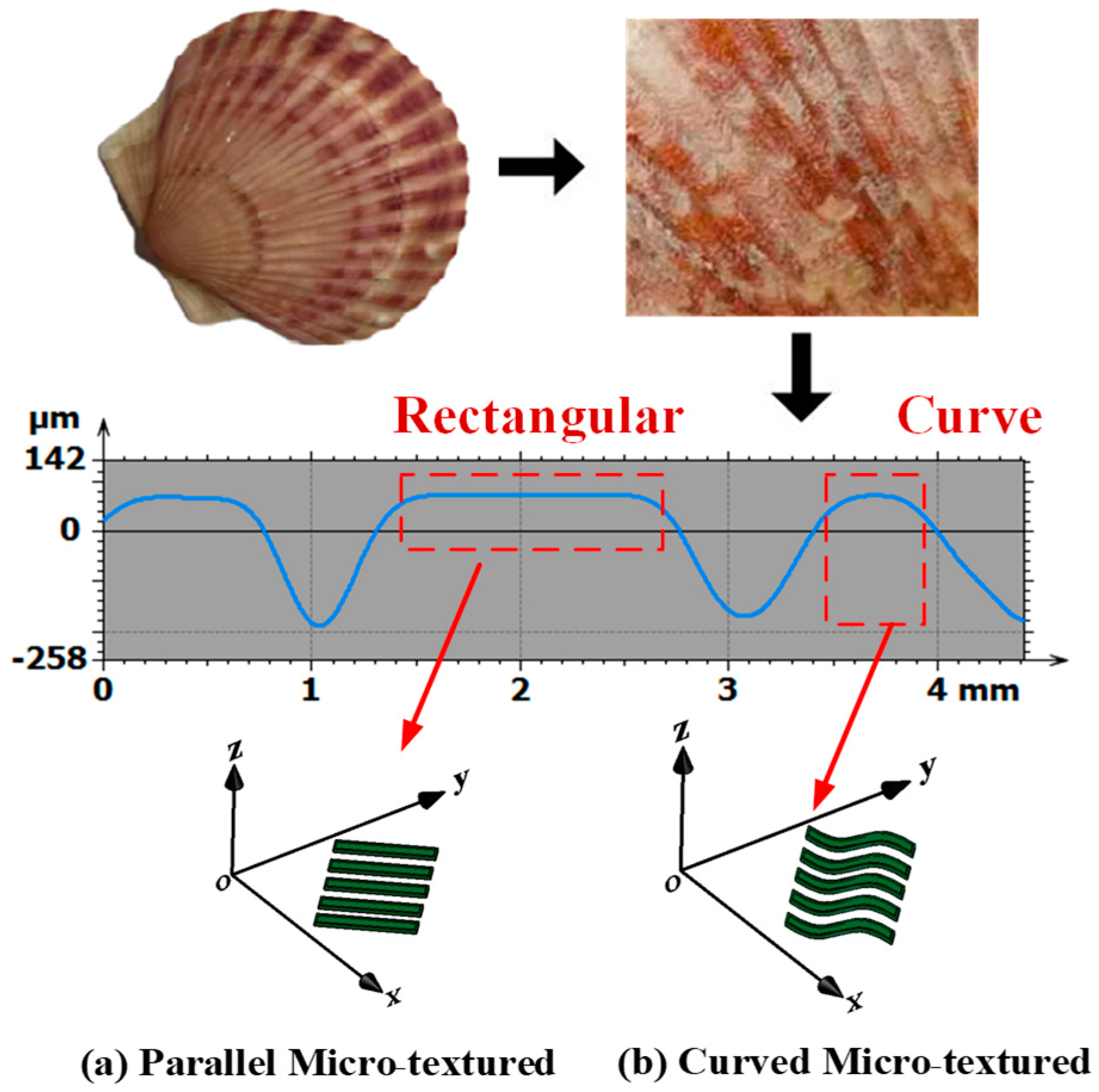Lubricants 12 00004 g002