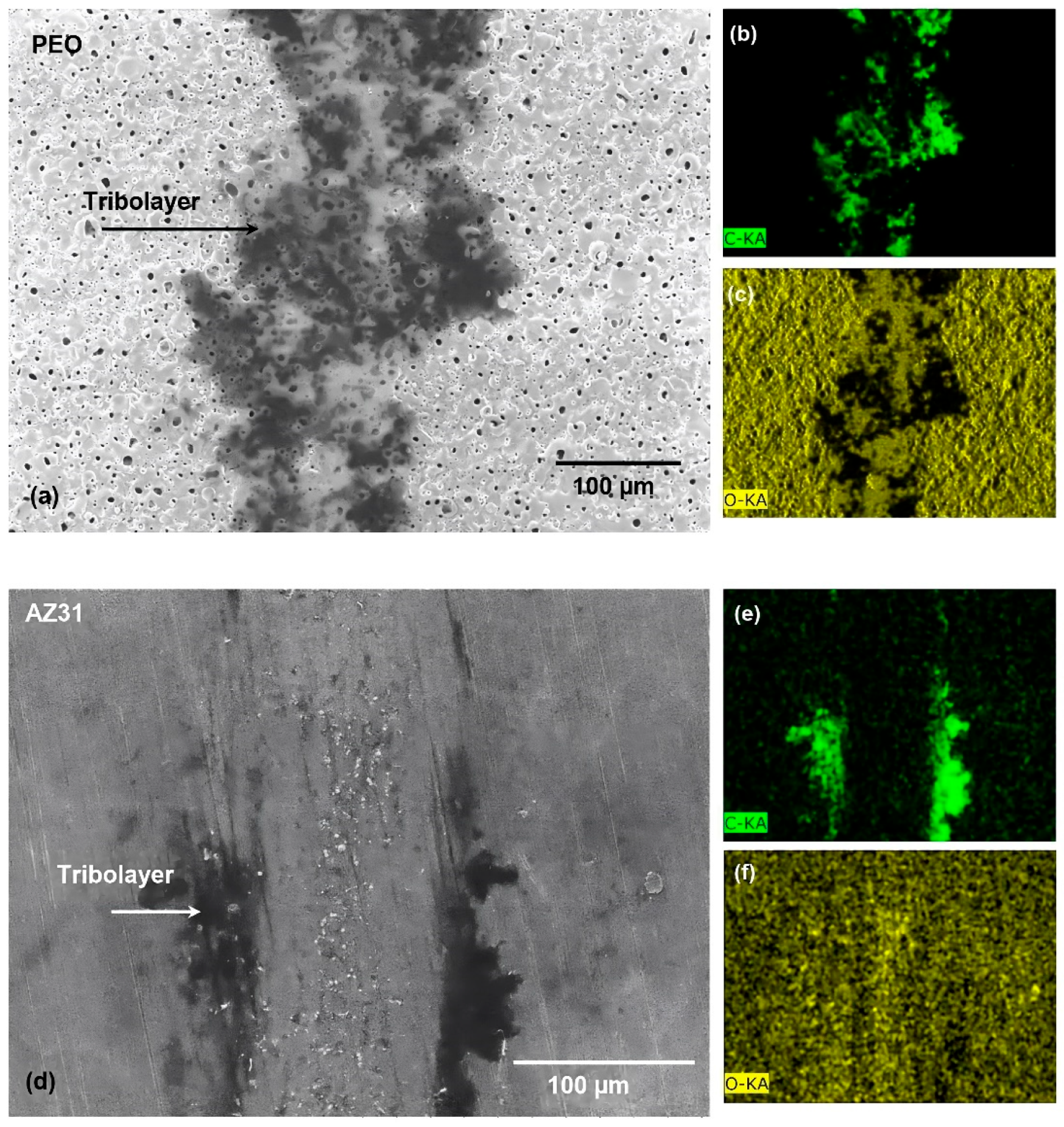 Lubricants 12 00009 g006