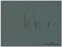 Lubricants 12 00018 i009