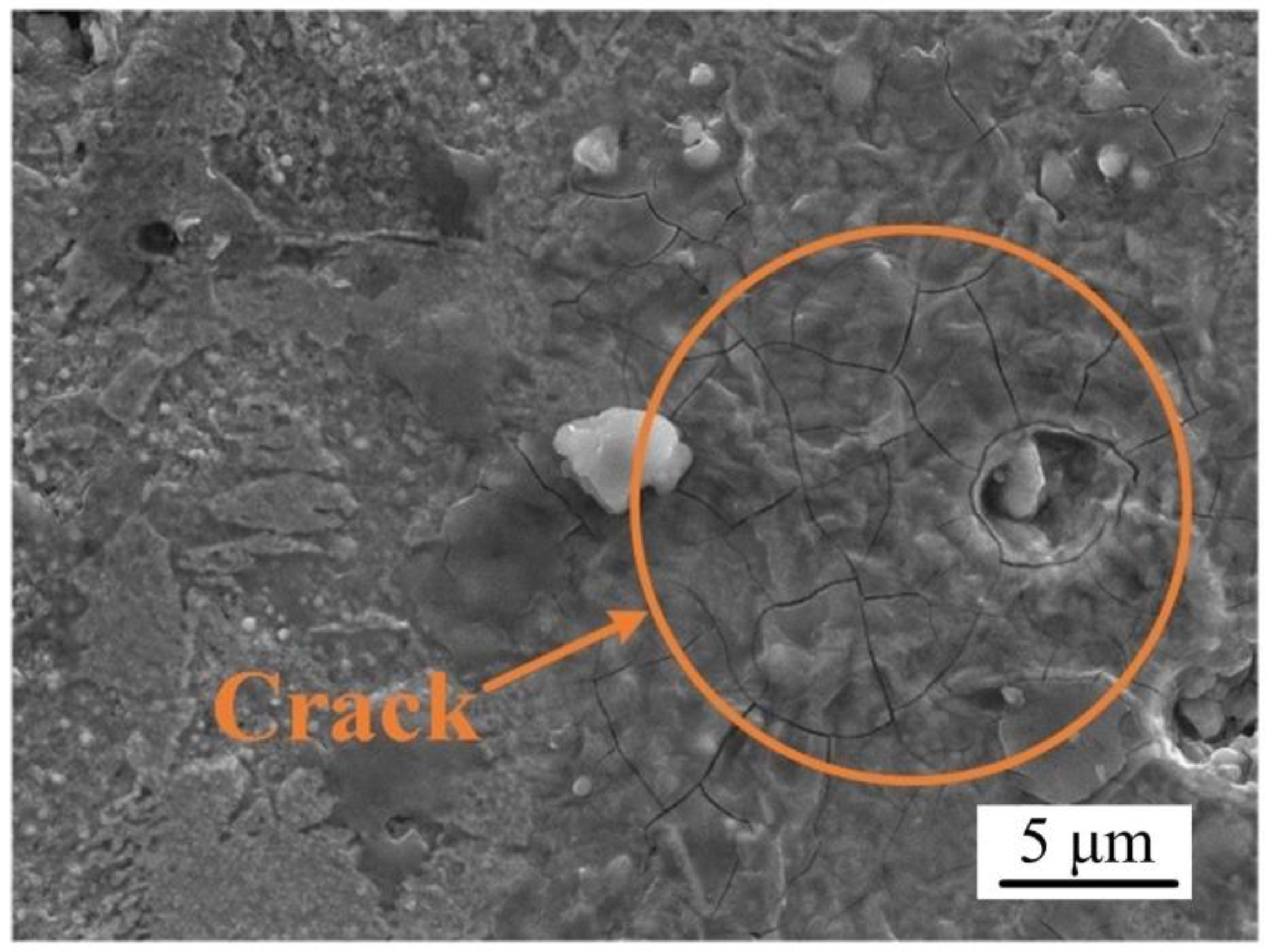 Lubricants 12 00021 g013
