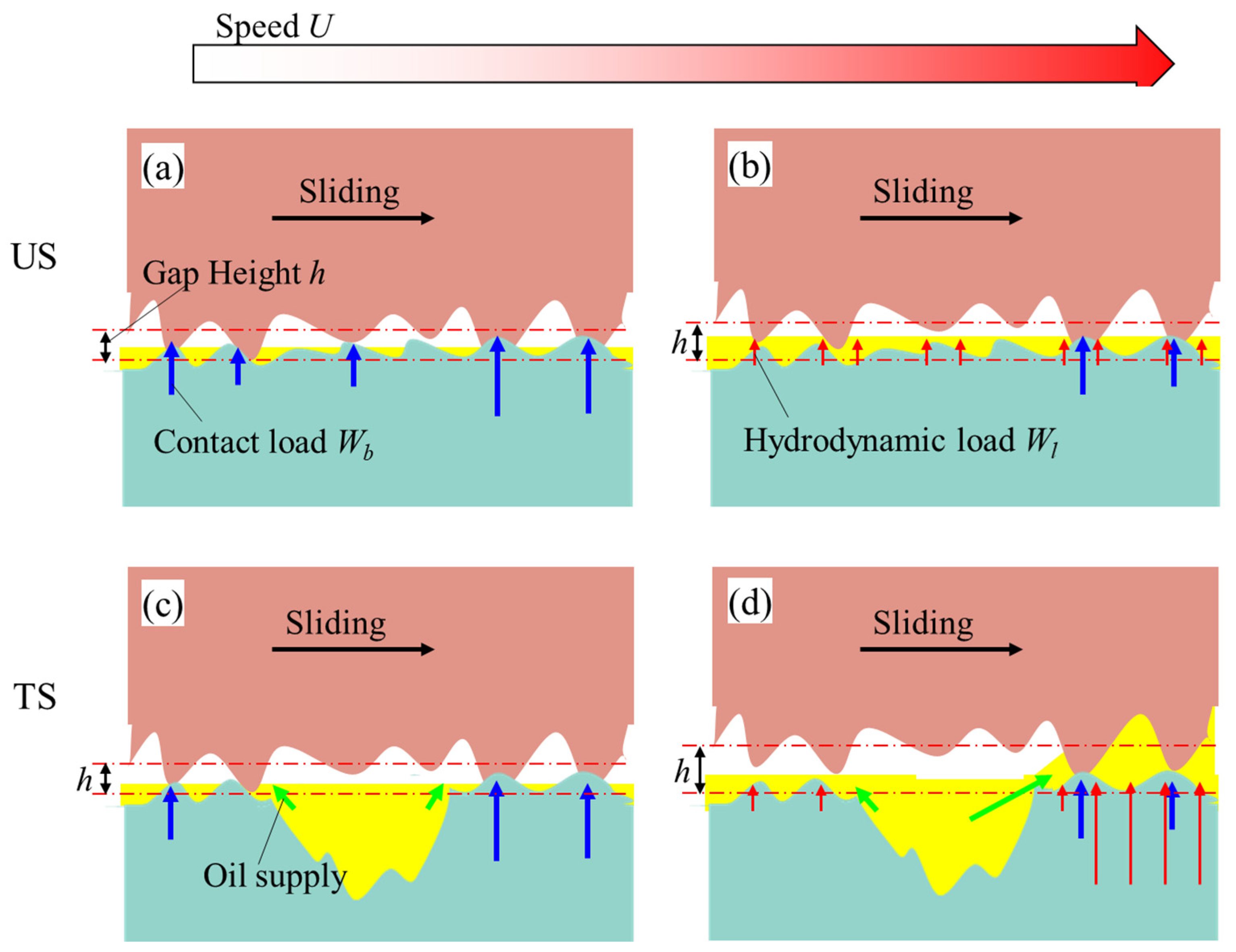 Lubricants 12 00022 g013
