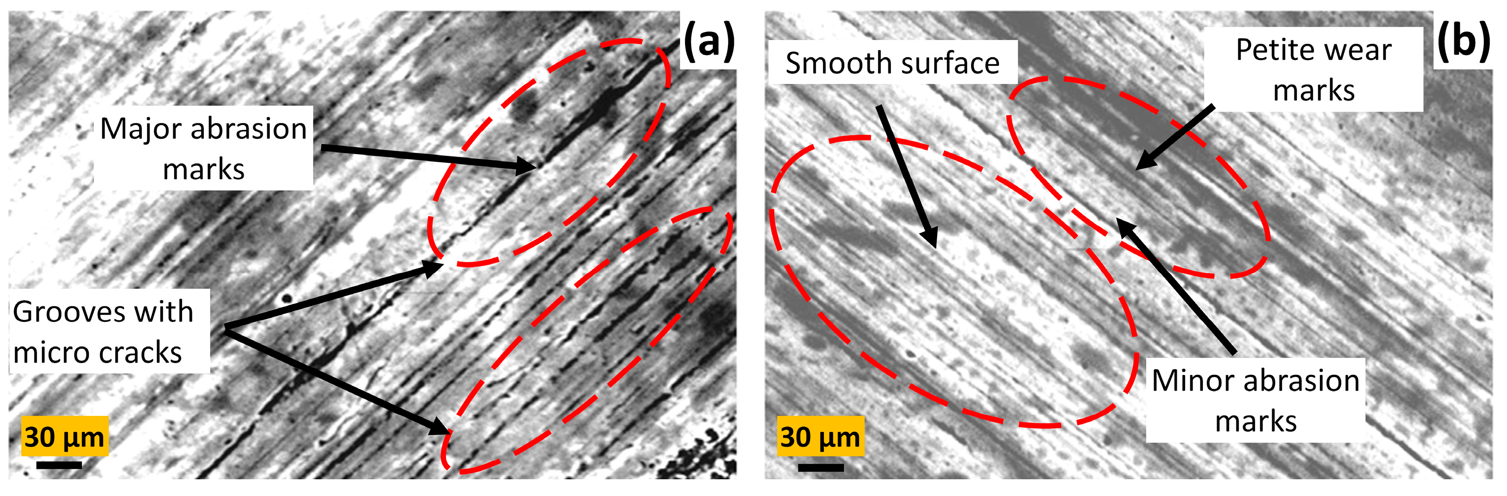 Lubricants 12 00027 g013