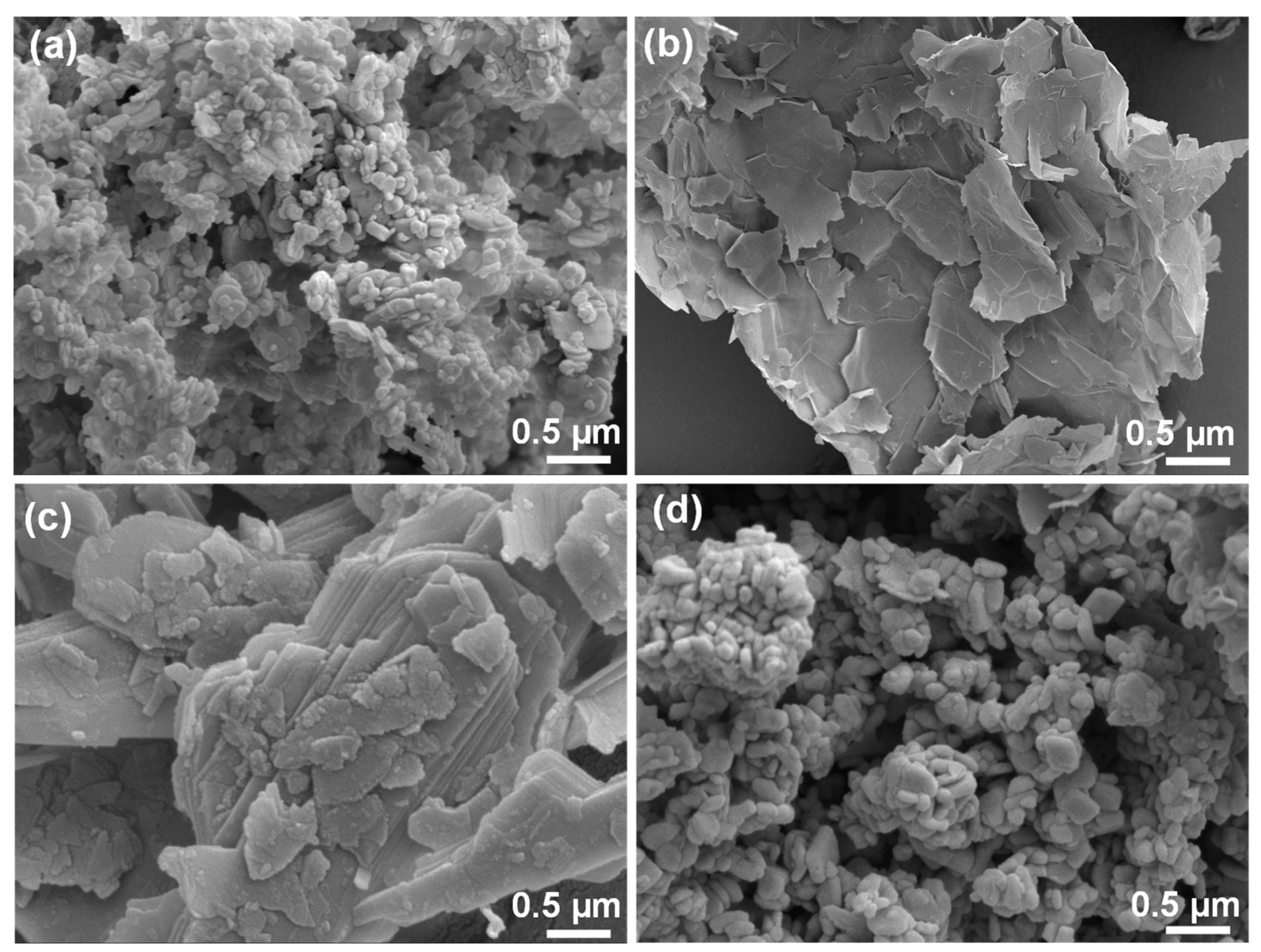 Lubricants 12 00031 g001