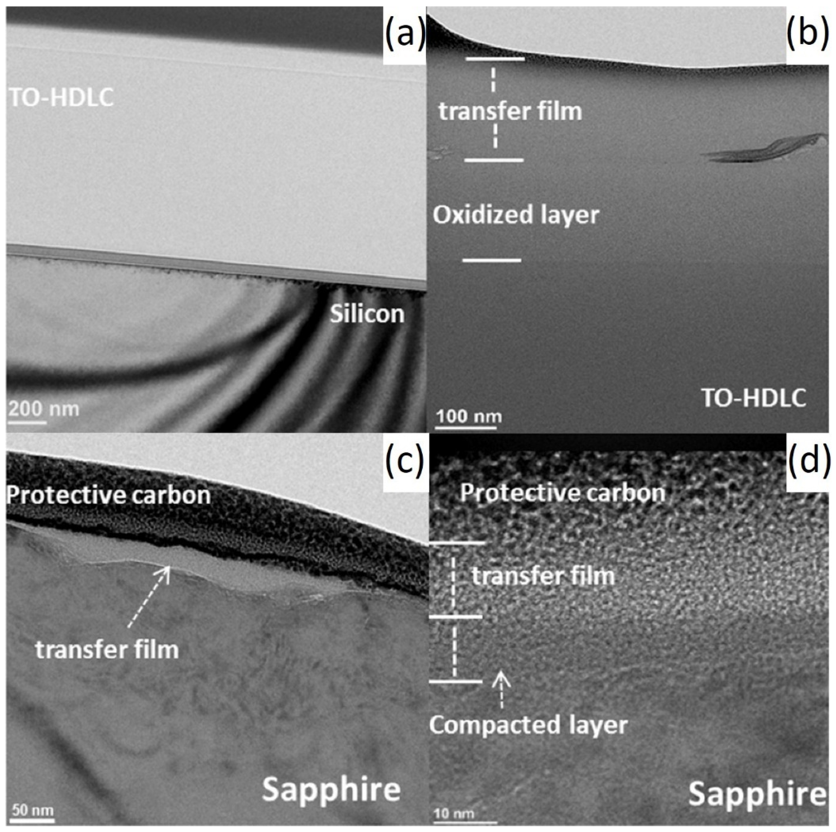Lubricants 12 00040 g003