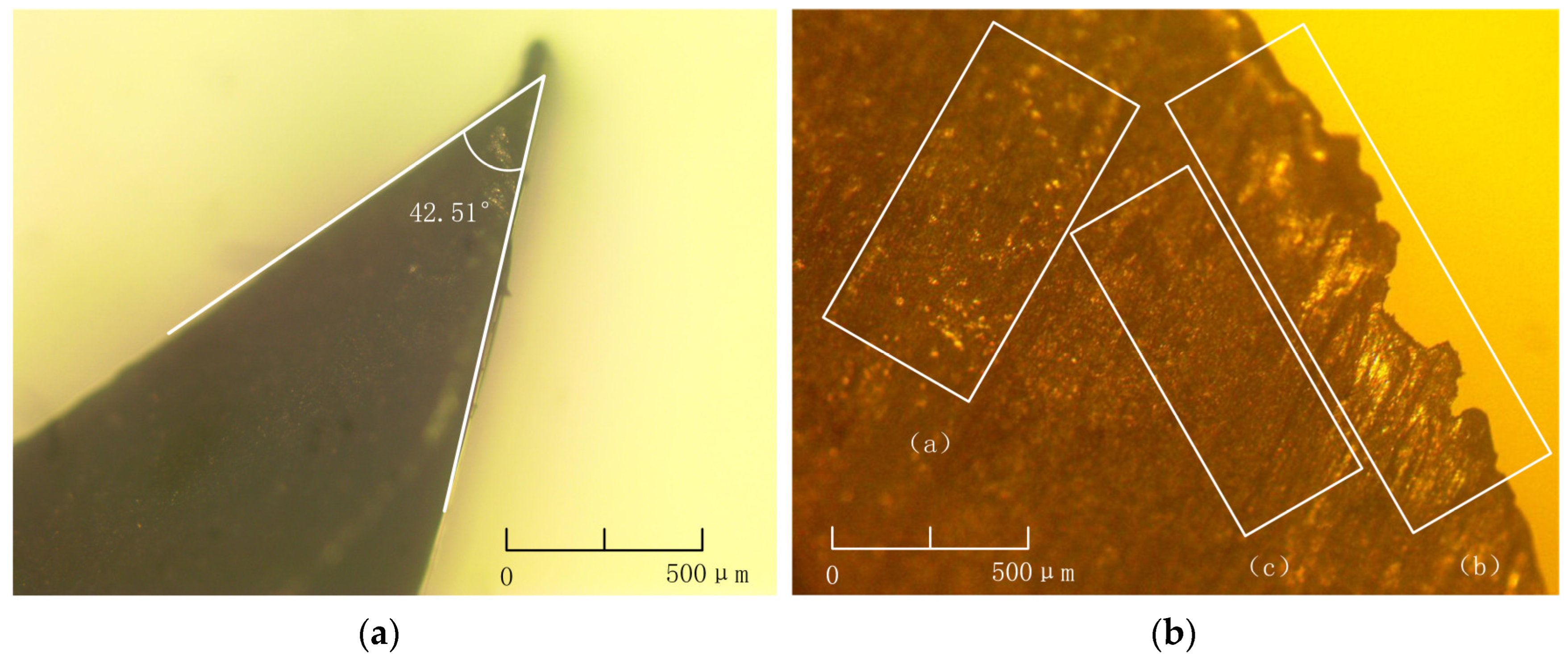 Lubricants 12 00041 g007