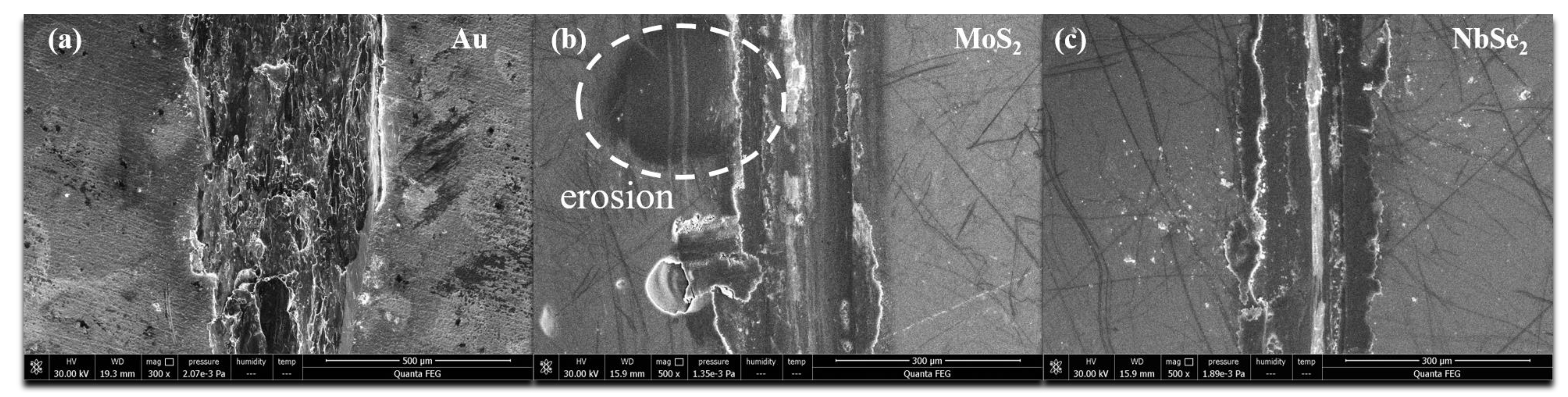Lubricants 12 00044 g010