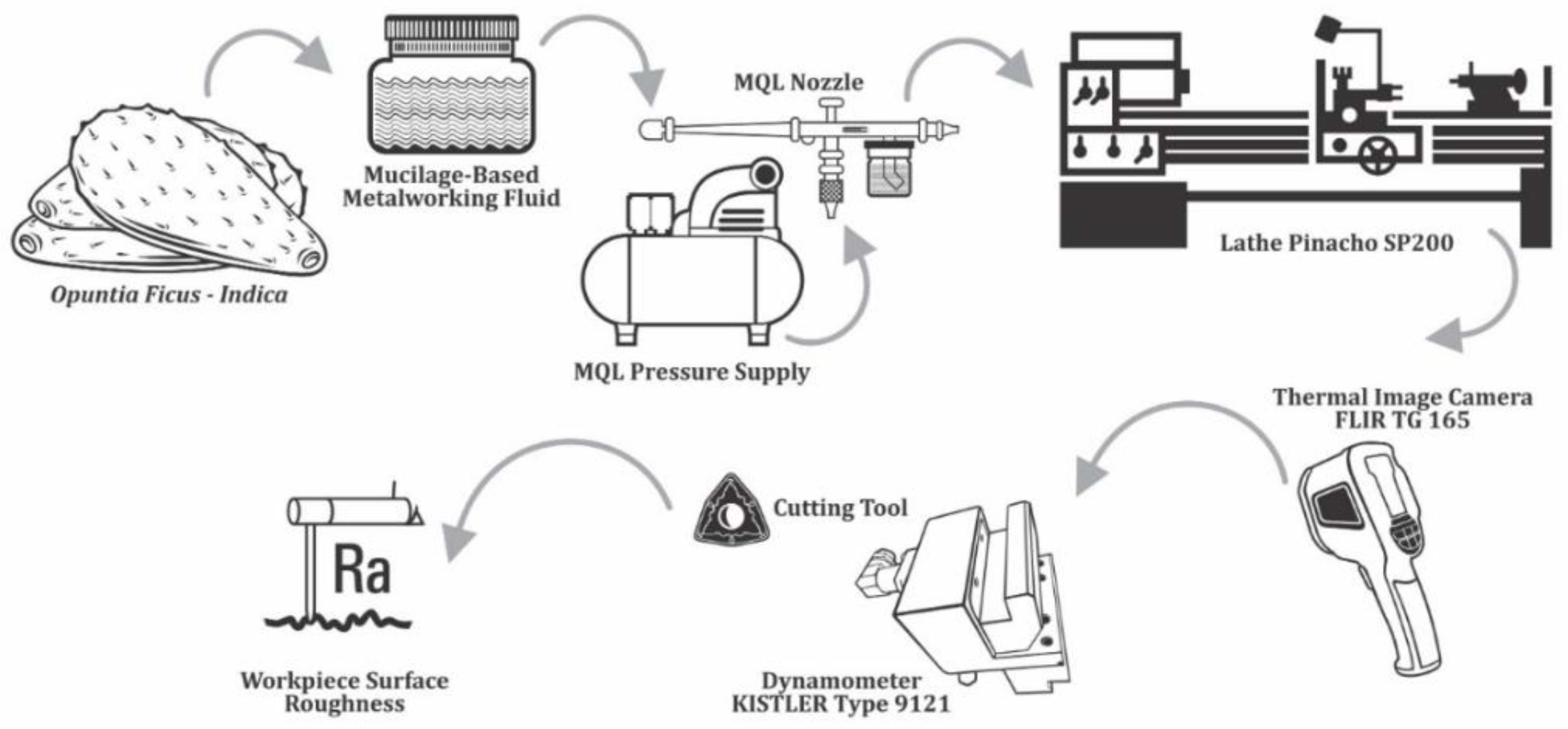 Lubricants 12 00056 g002