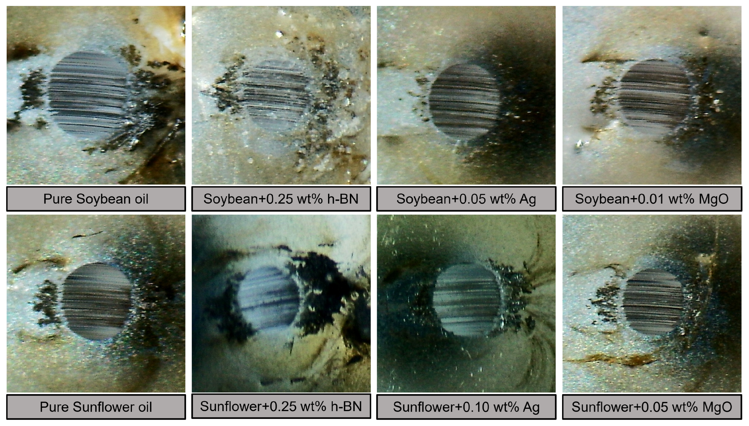 Lubricants 12 00066 g006