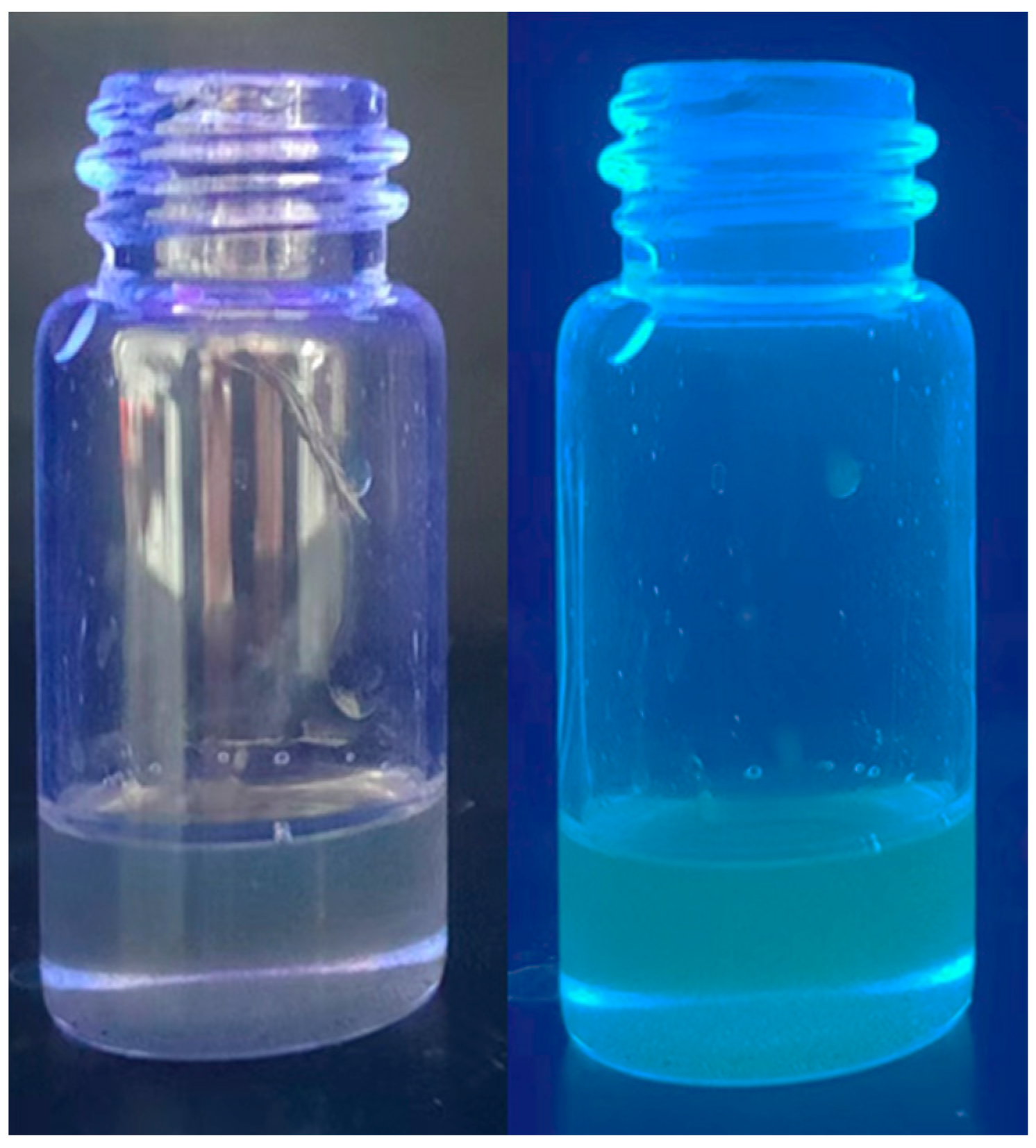 Lubricants 12 00088 g005