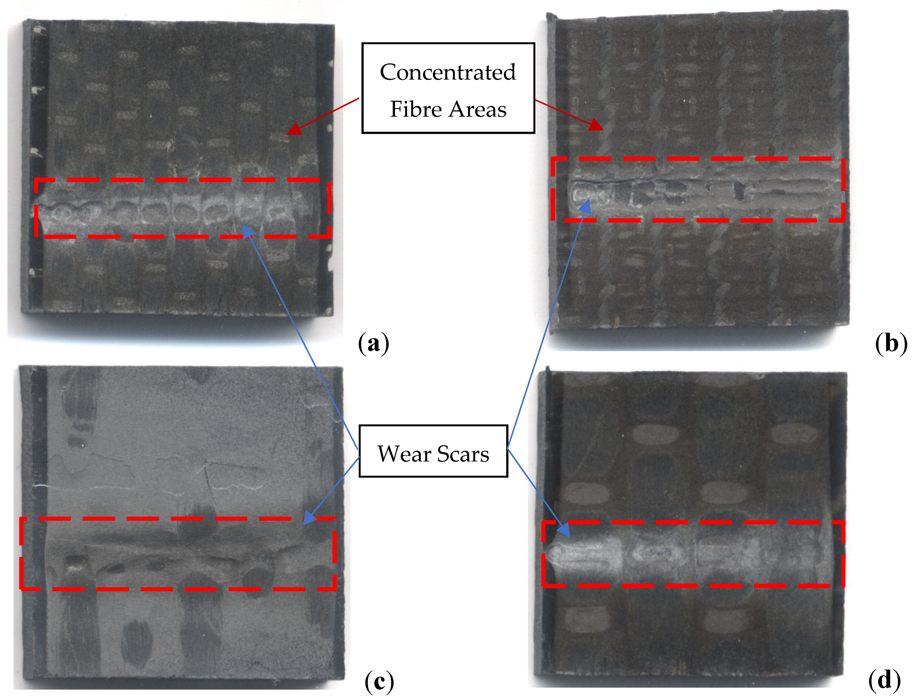 Lubricants 12 00094 g004