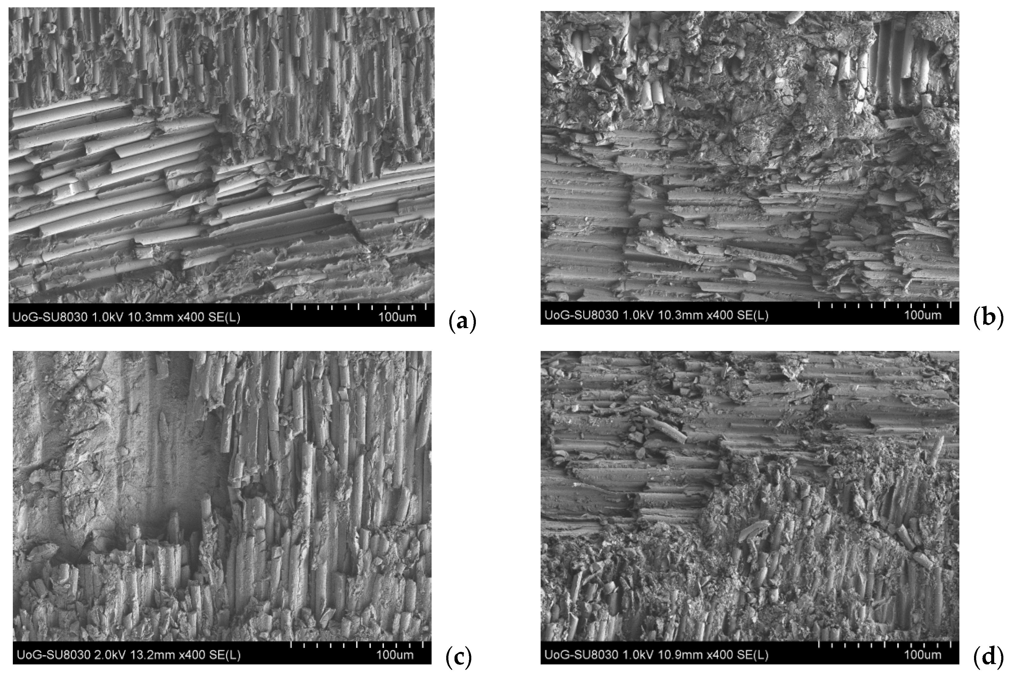 Lubricants 12 00094 g005