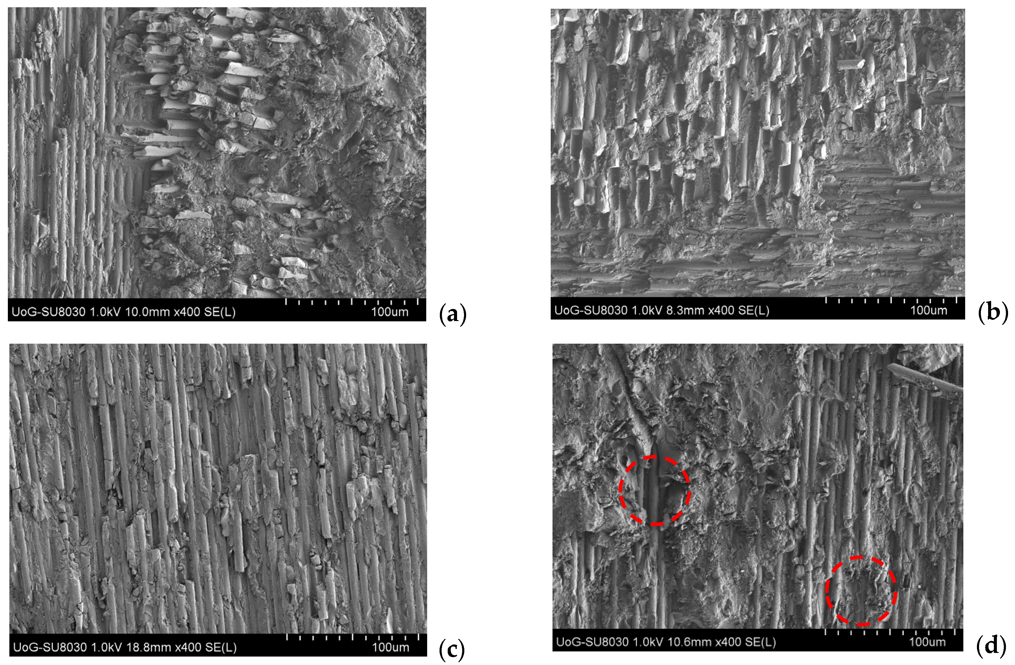 Lubricants 12 00094 g006