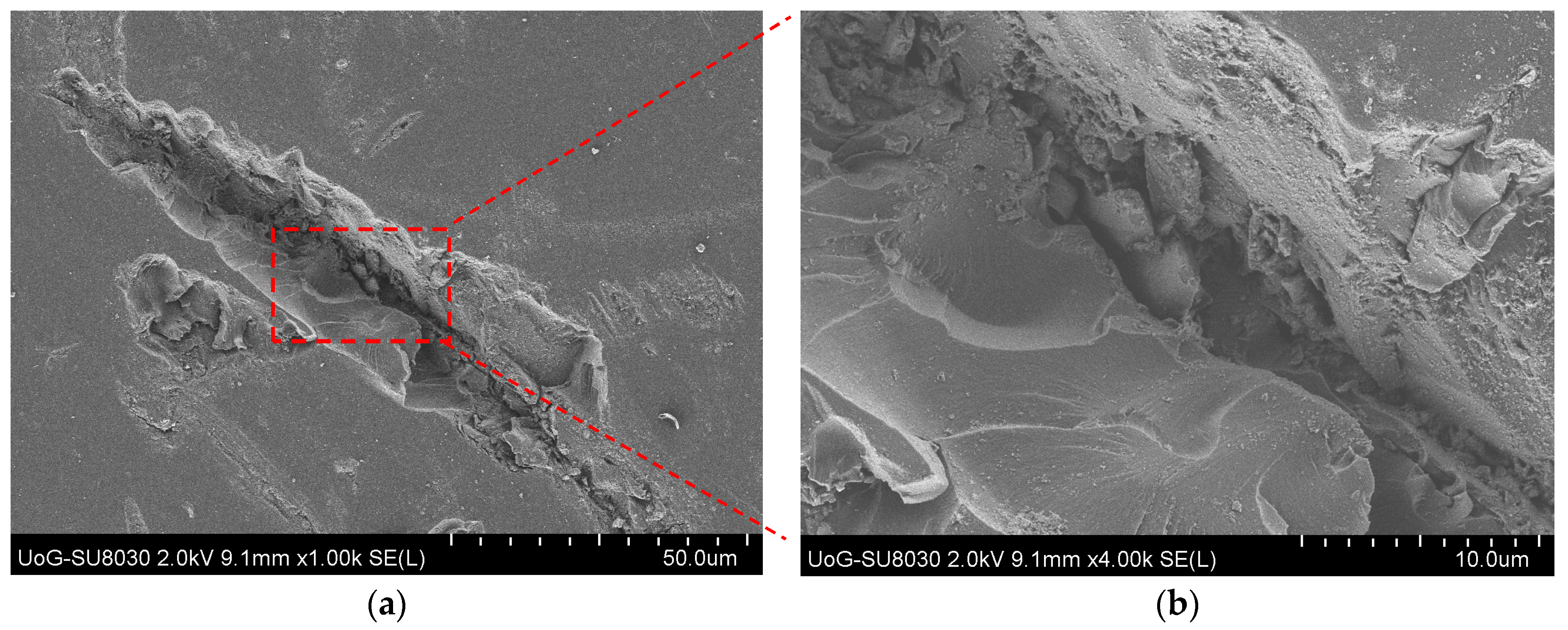 Lubricants 12 00094 g007