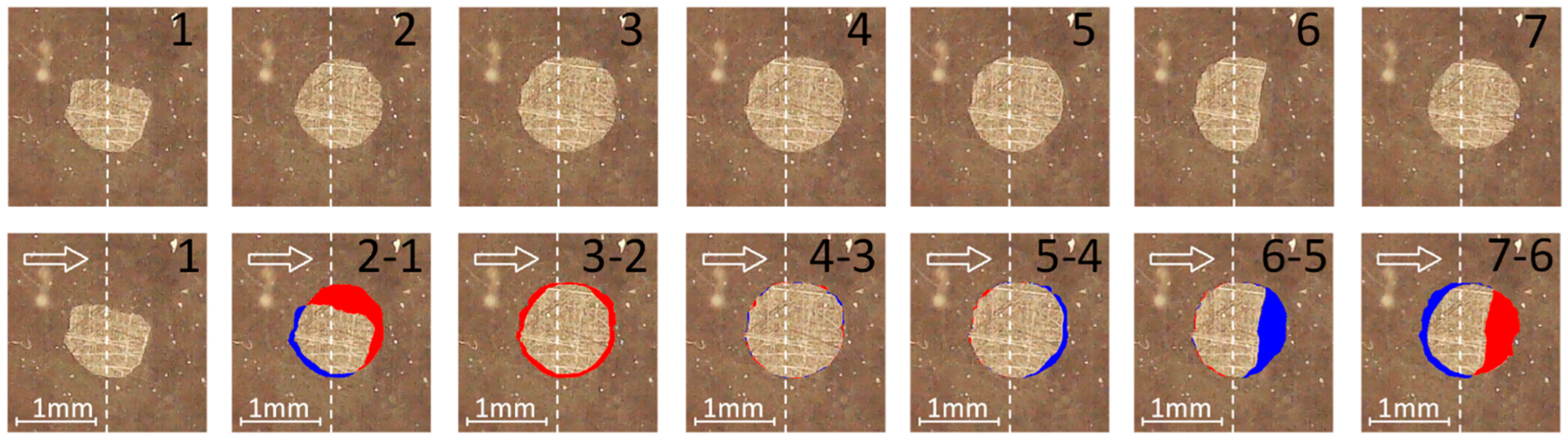Lubricants 12 00110 g006