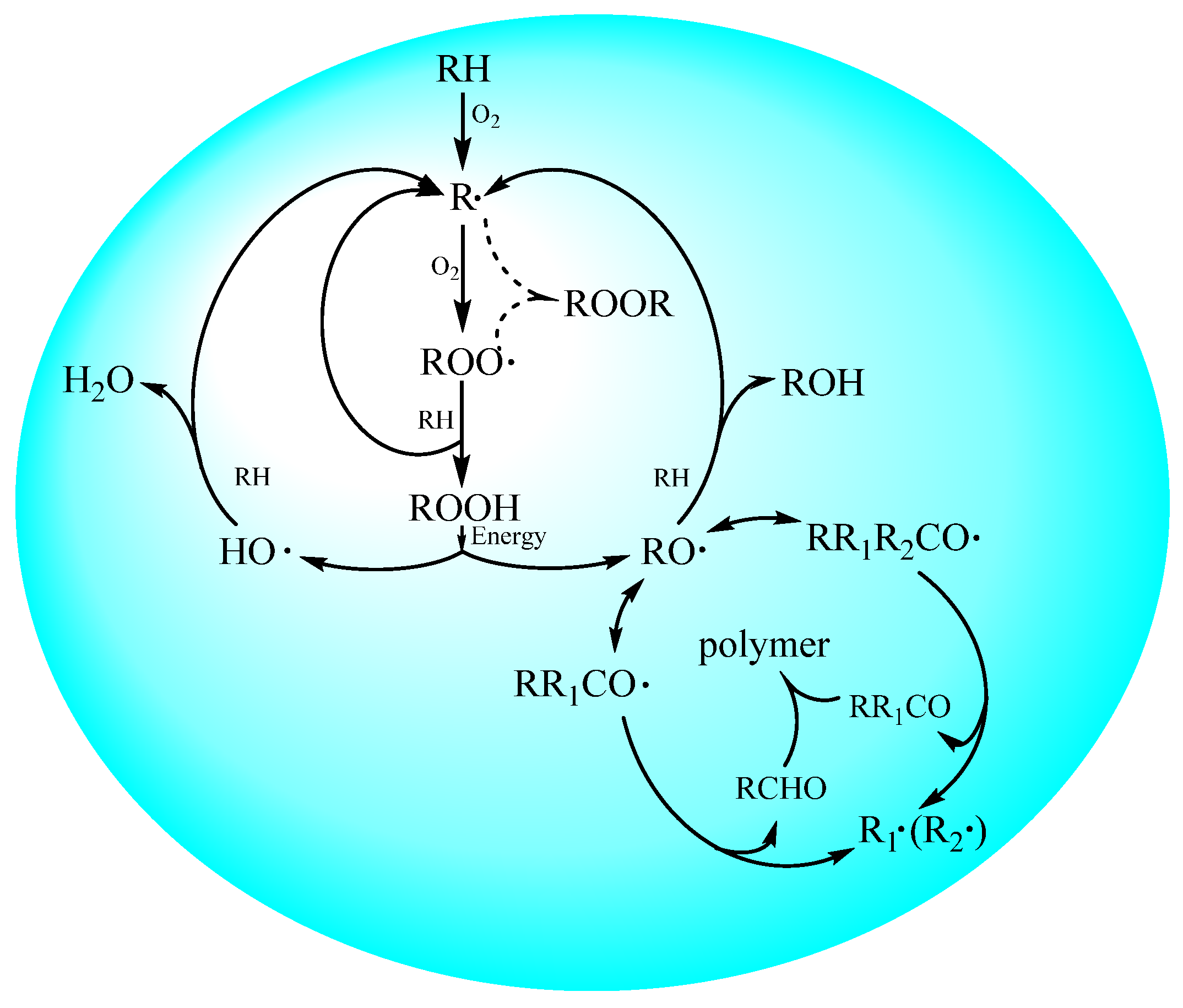 Lubricants 12 00115 g001