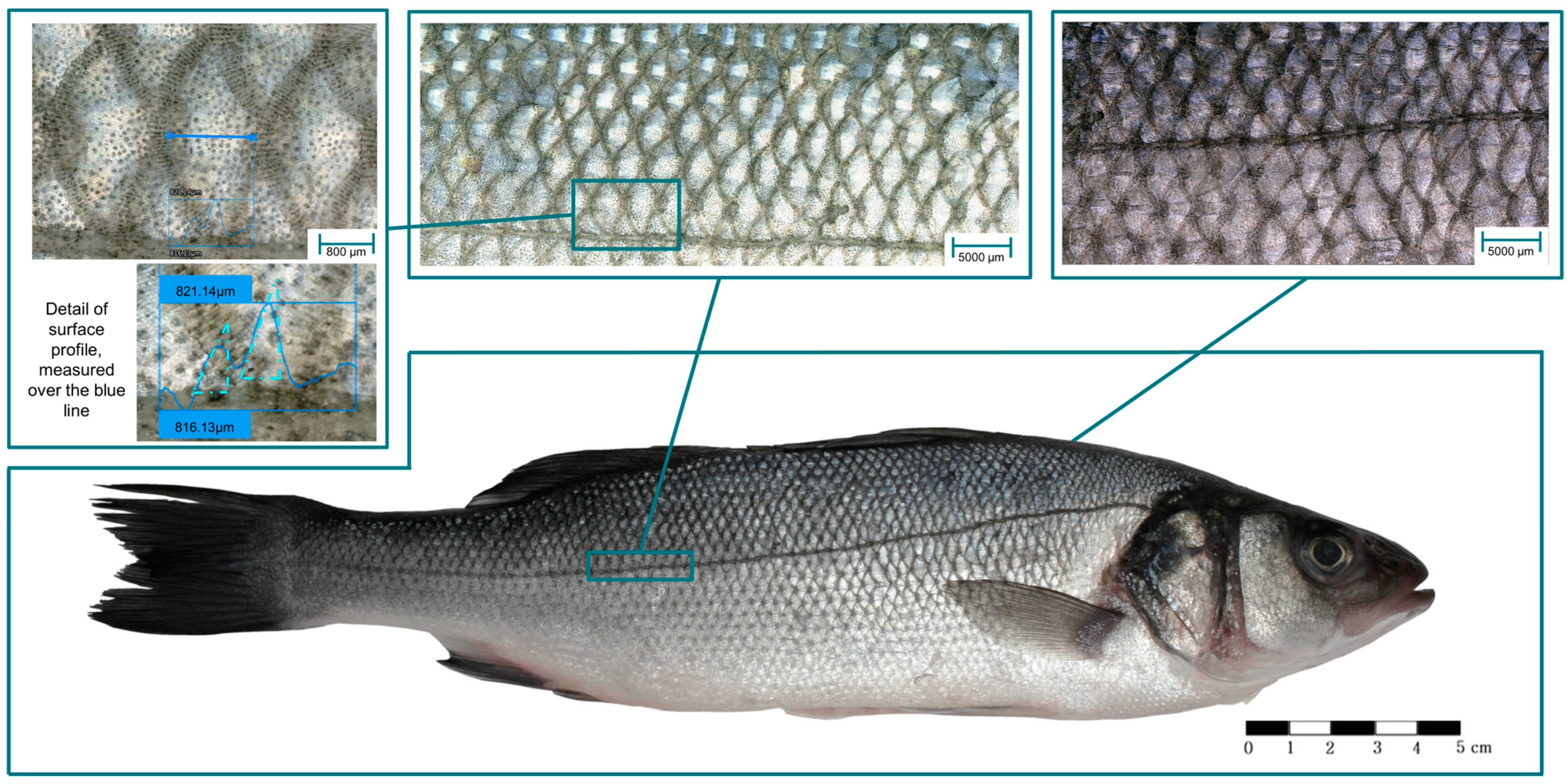 Lubricants 12 00121 g001