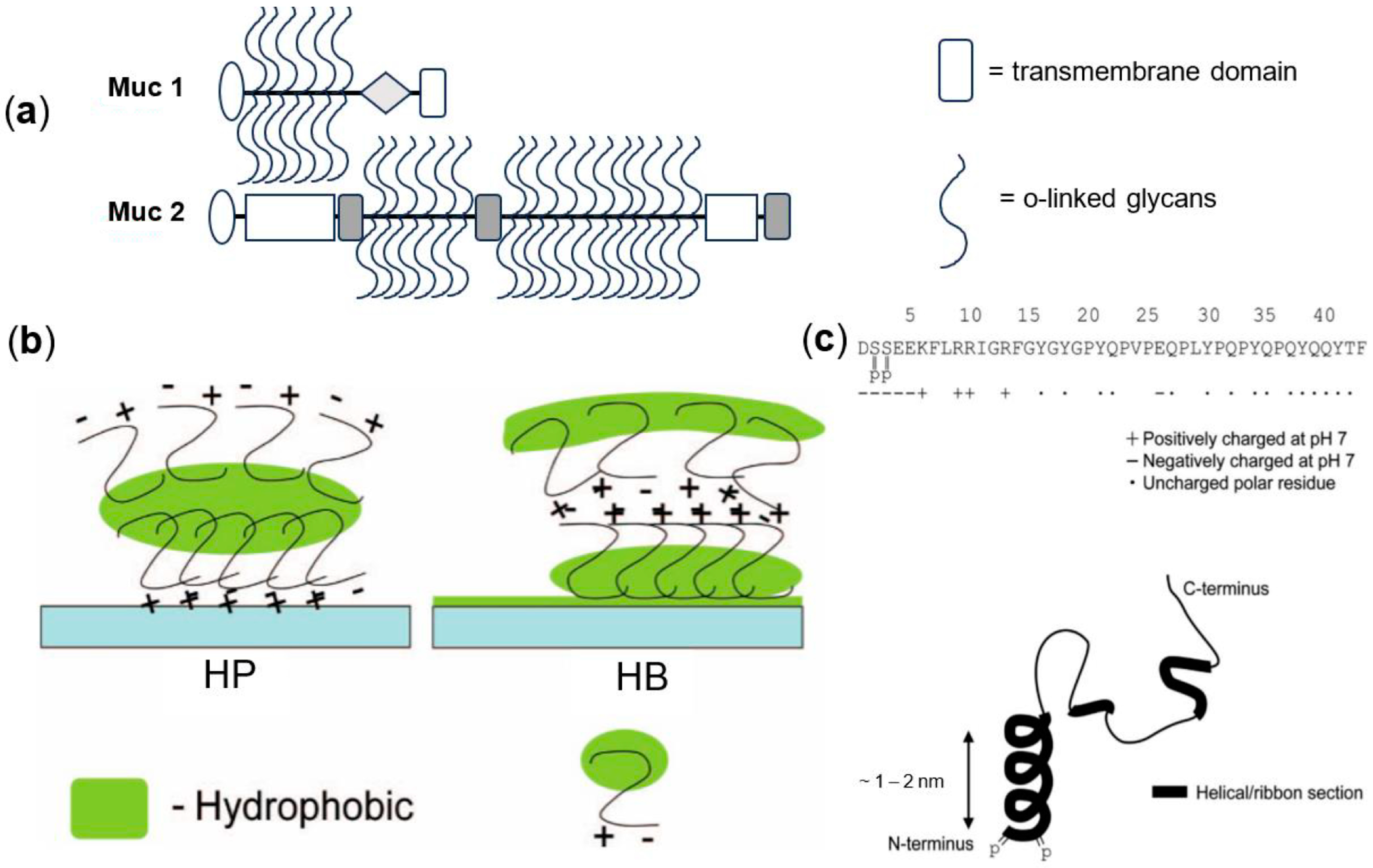 Lubricants 12 00126 g002 Lubricants 12 00126 g002
