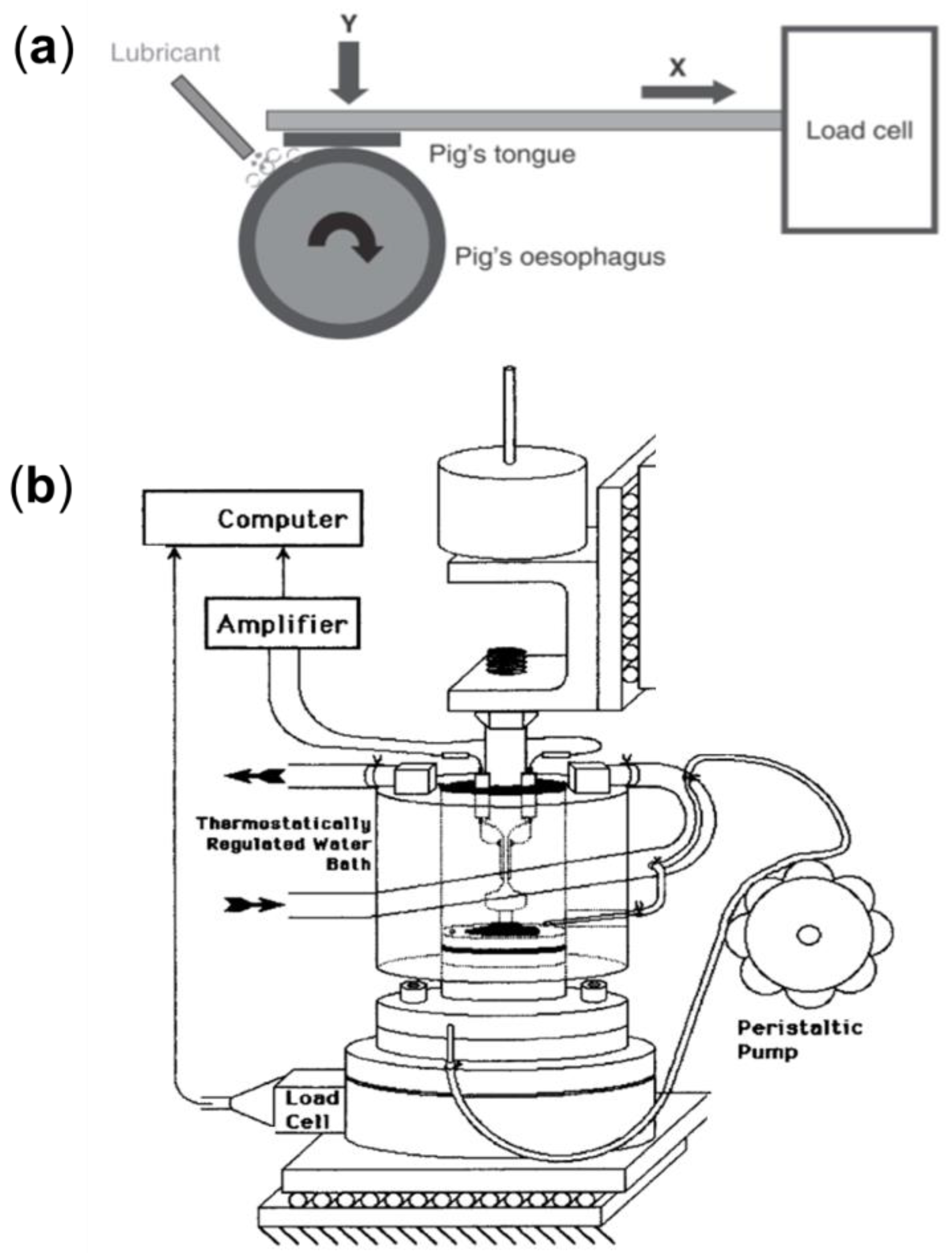 Lubricants 12 00126 g004 Lubricants 12 00126 g004