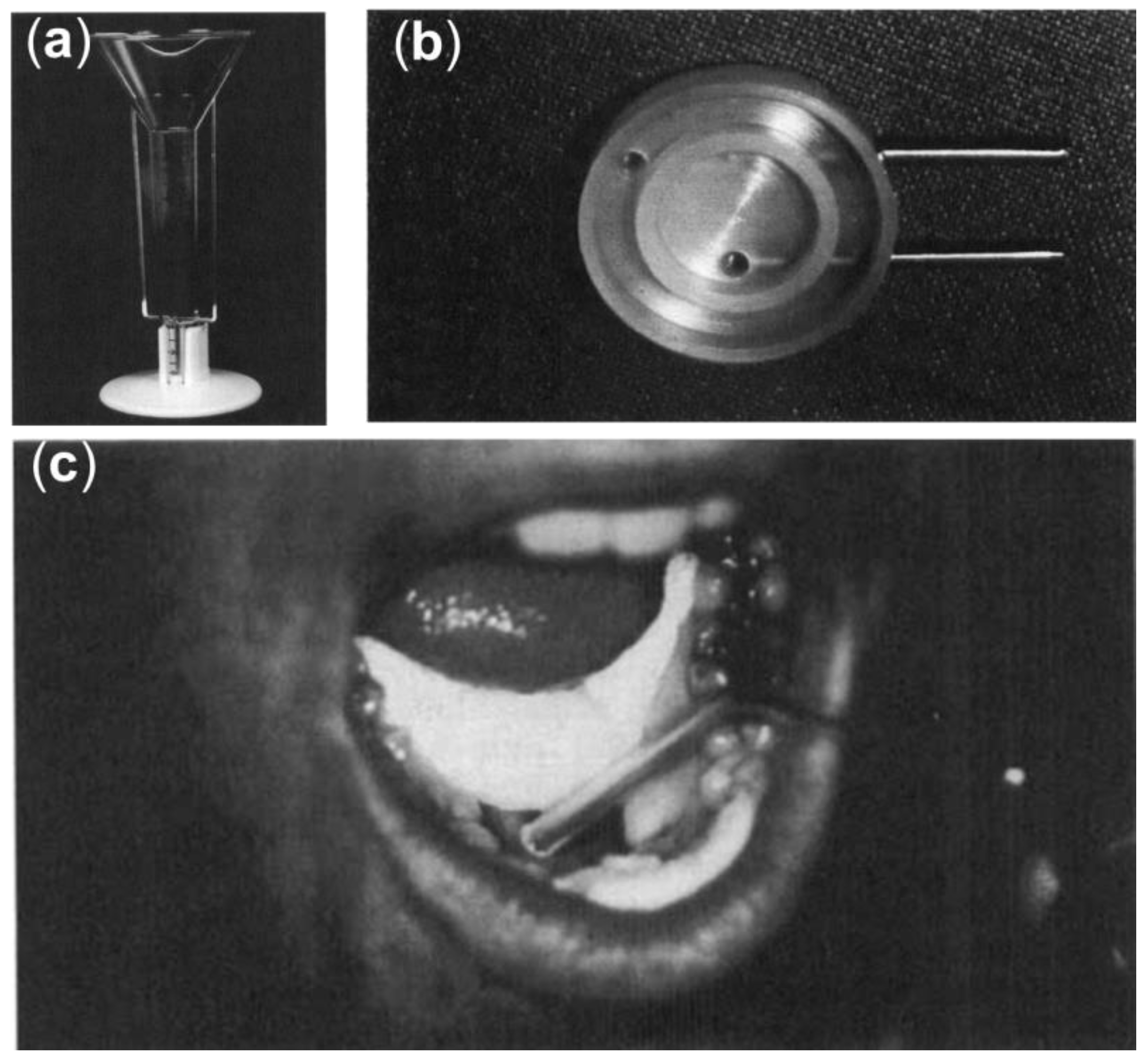 Lubricants 12 00126 g005 Lubricants 12 00126 g005