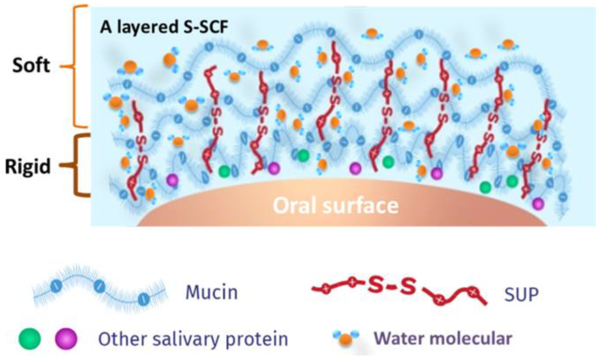 Lubricants 12 00126 g006 Lubricants 12 00126 g006