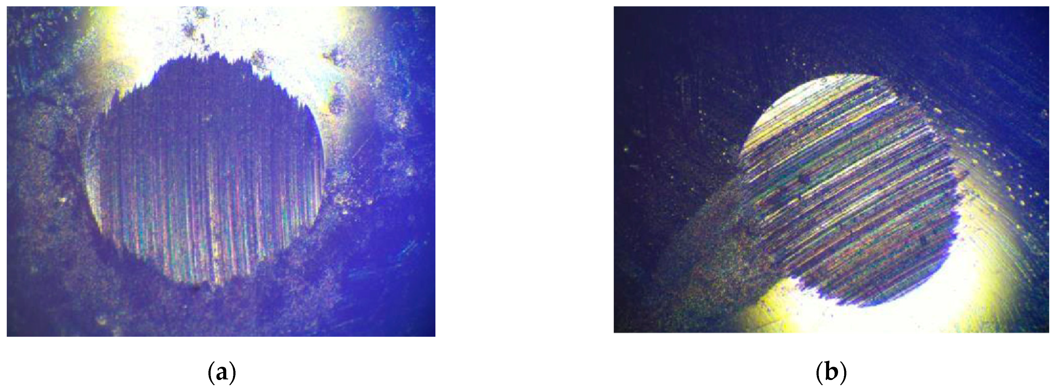 Lubricants 12 00130 g013a