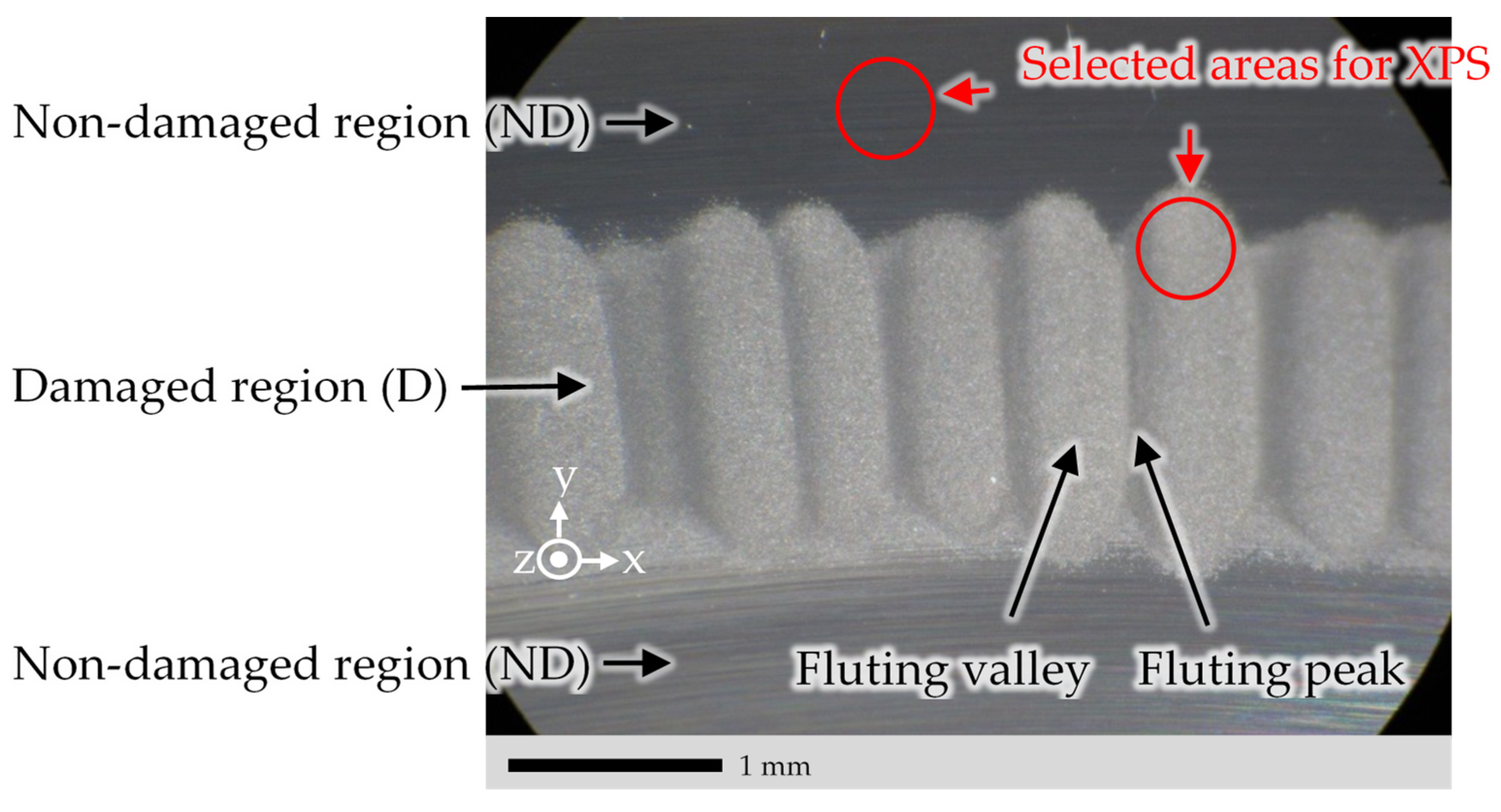Lubricants 12 00148 g004