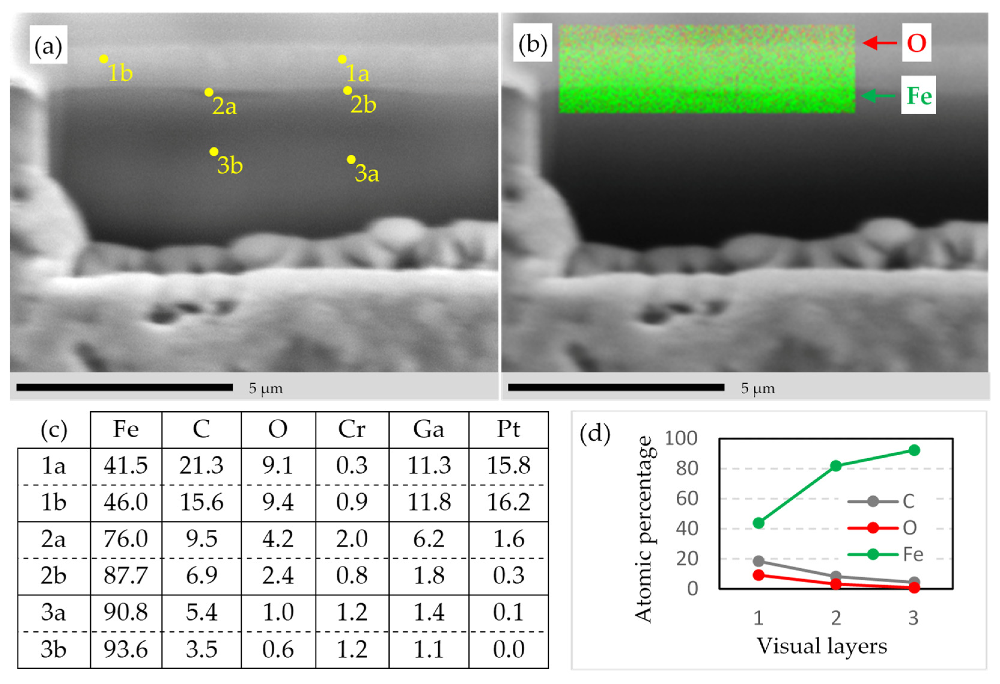 Lubricants 12 00148 g012