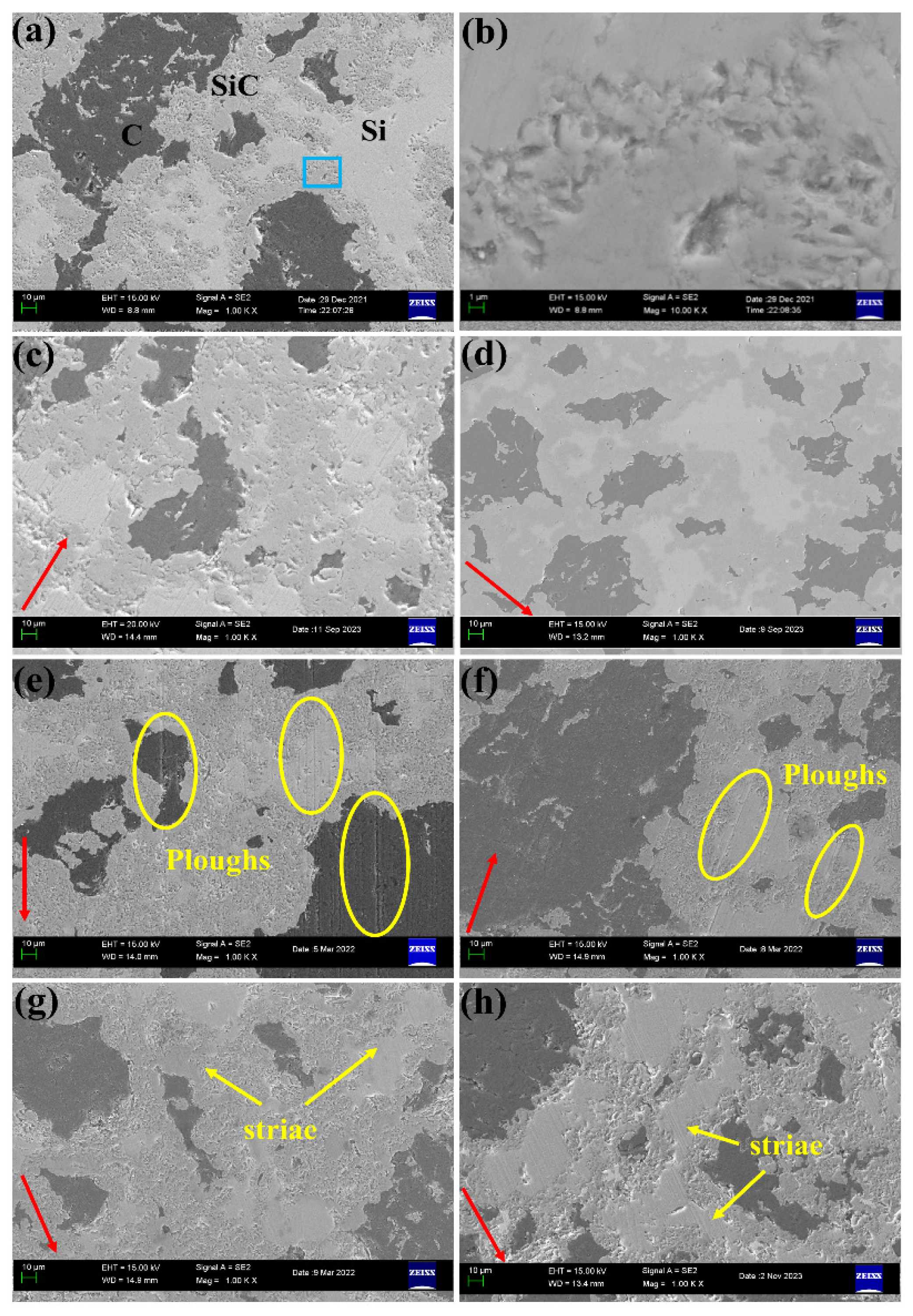 Lubricants 12 00159 g011