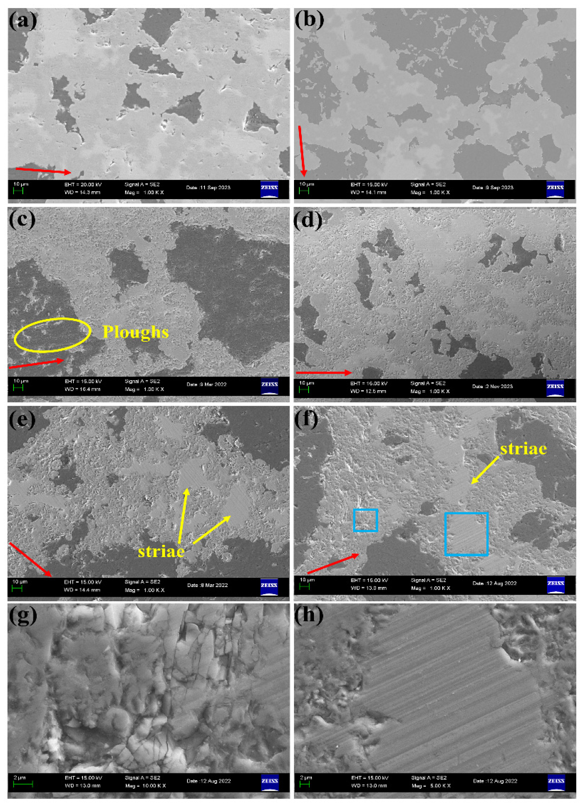 Lubricants 12 00159 g012