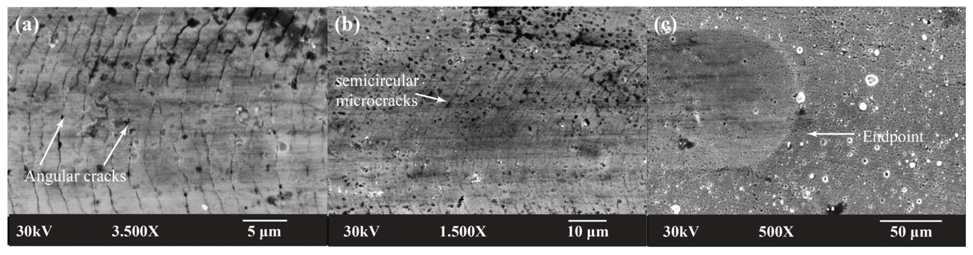 Lubricants 12 00170 g008