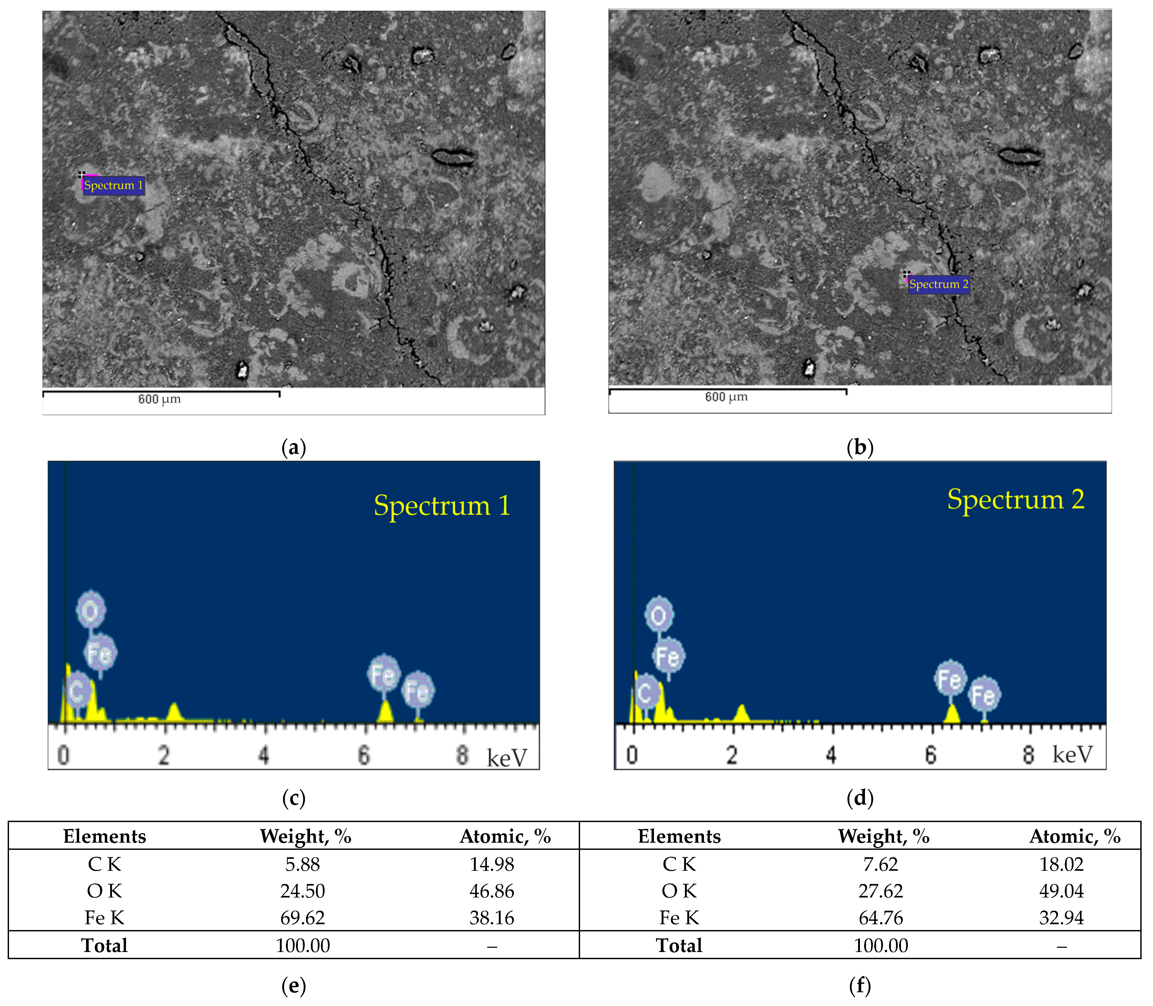Lubricants 12 00172 g010