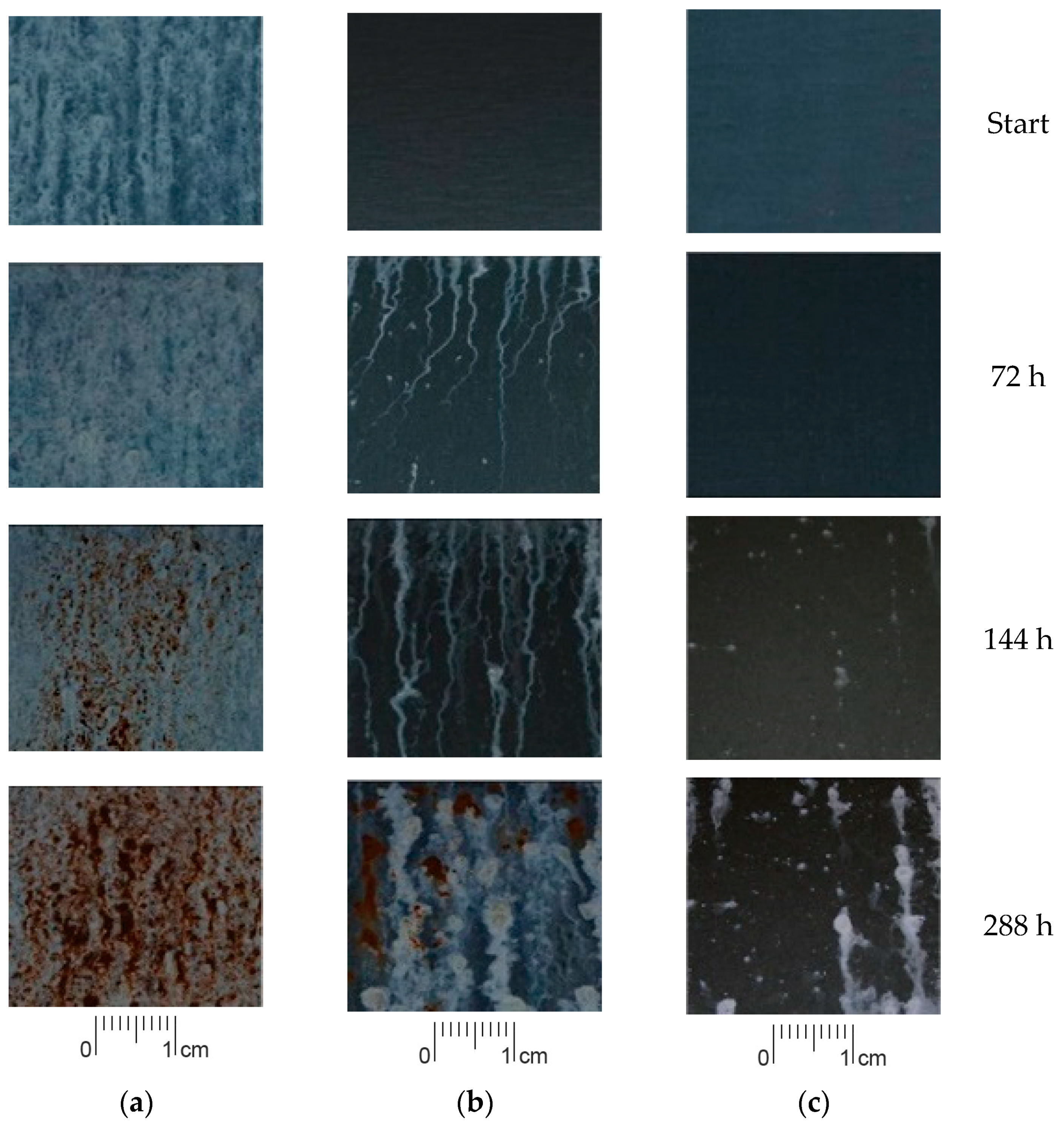 Lubricants 12 00198 g007