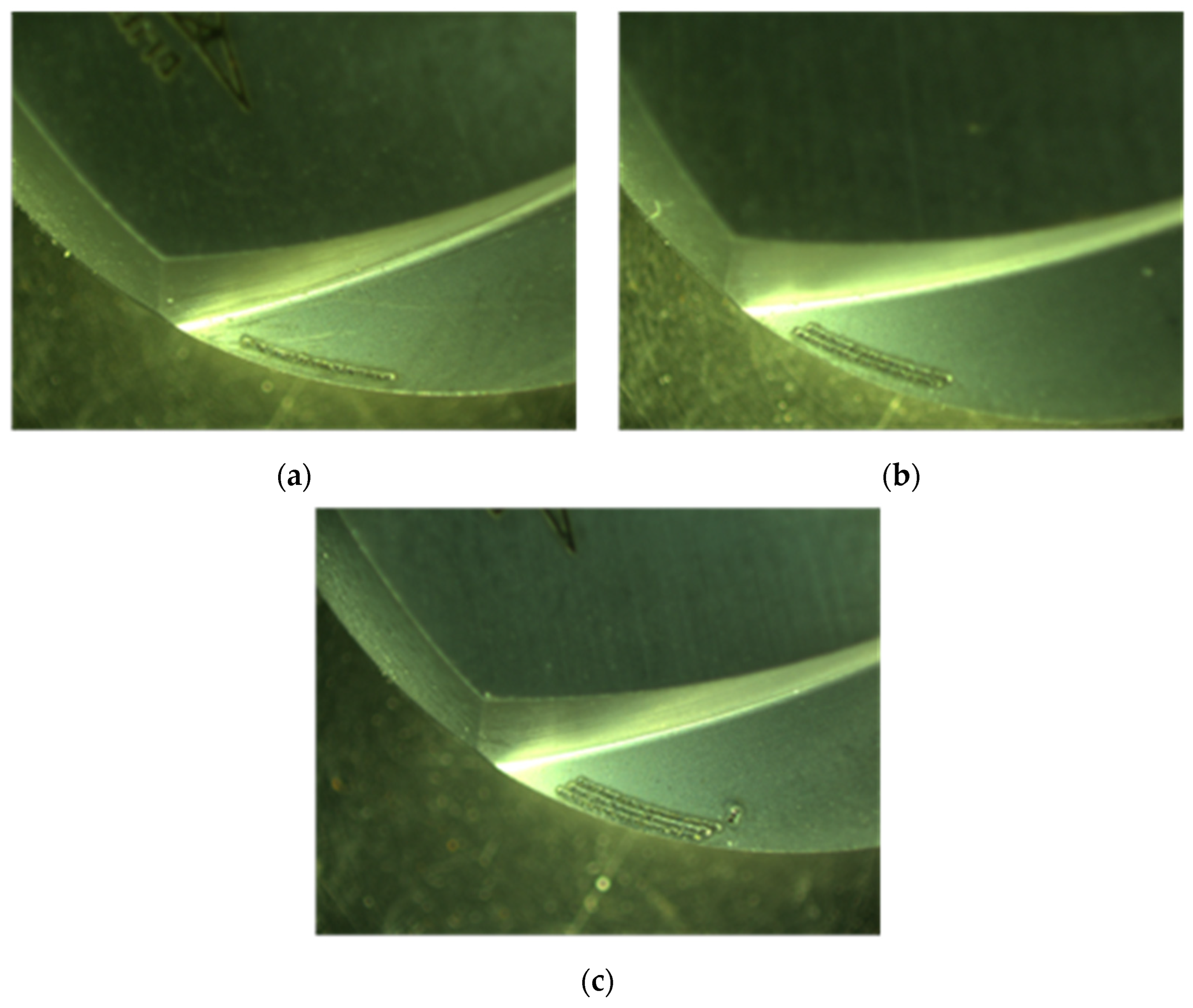 Lubricants 12 00204 g012